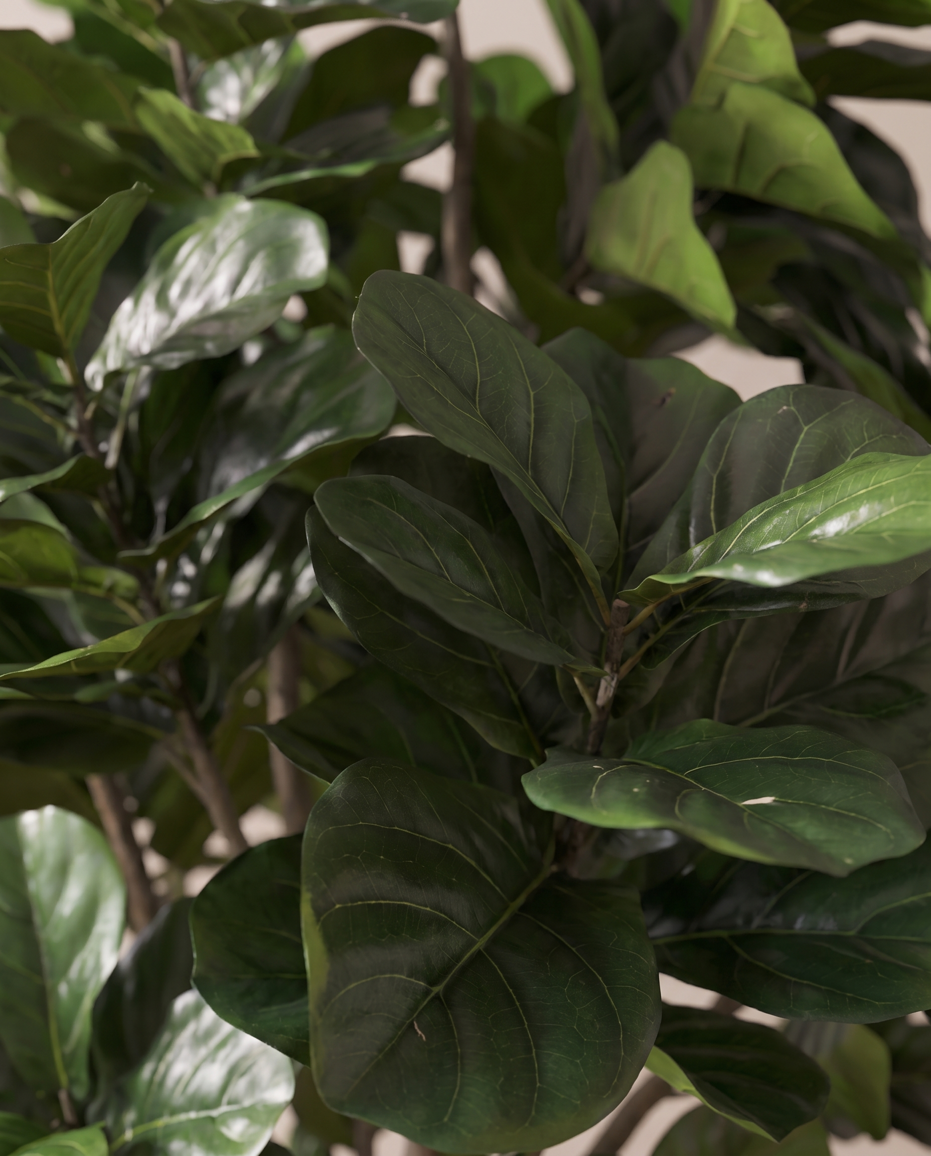 Artificial Fiddle Leaf Fig Tree
