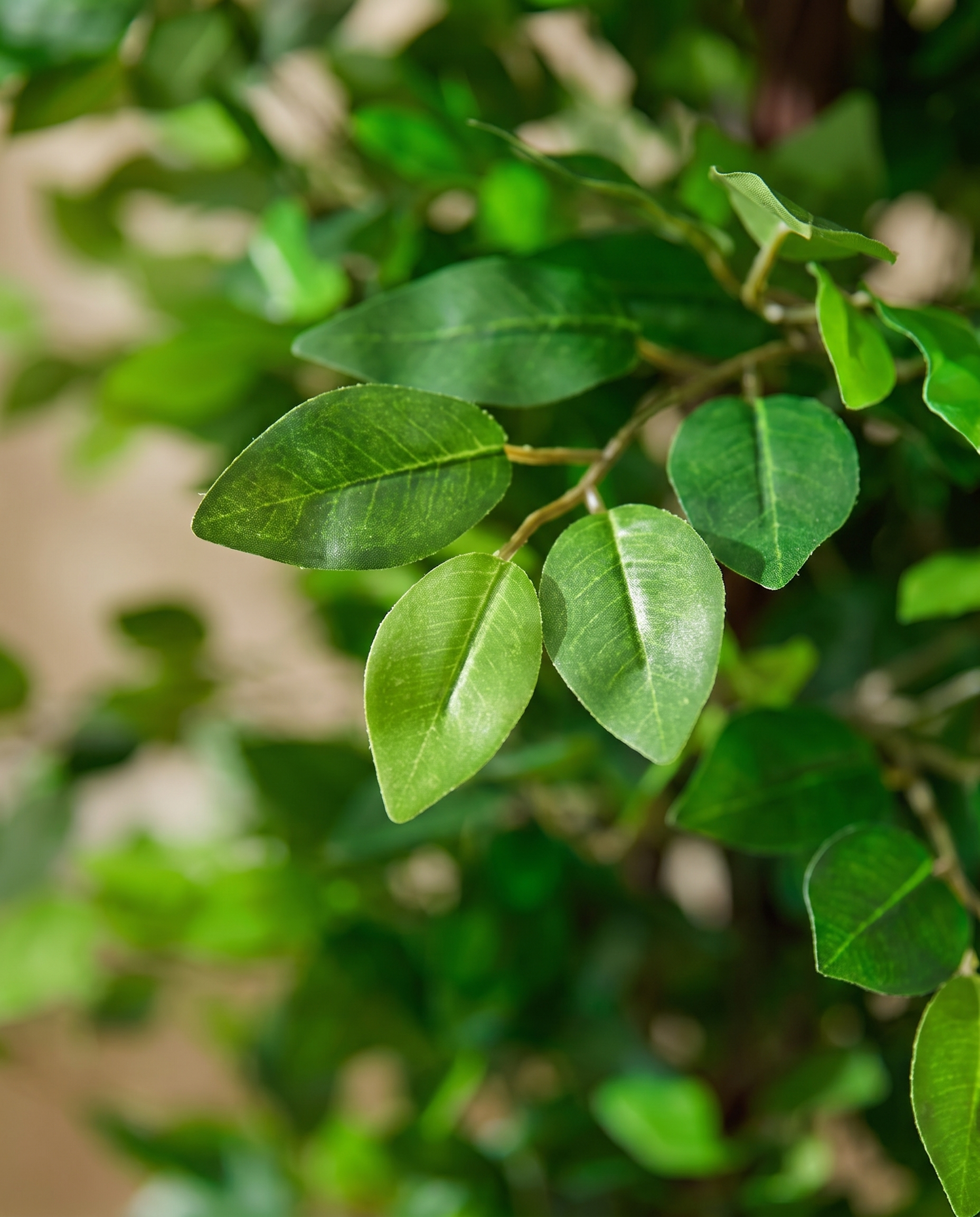 Elegant Artificial Ficus Tree