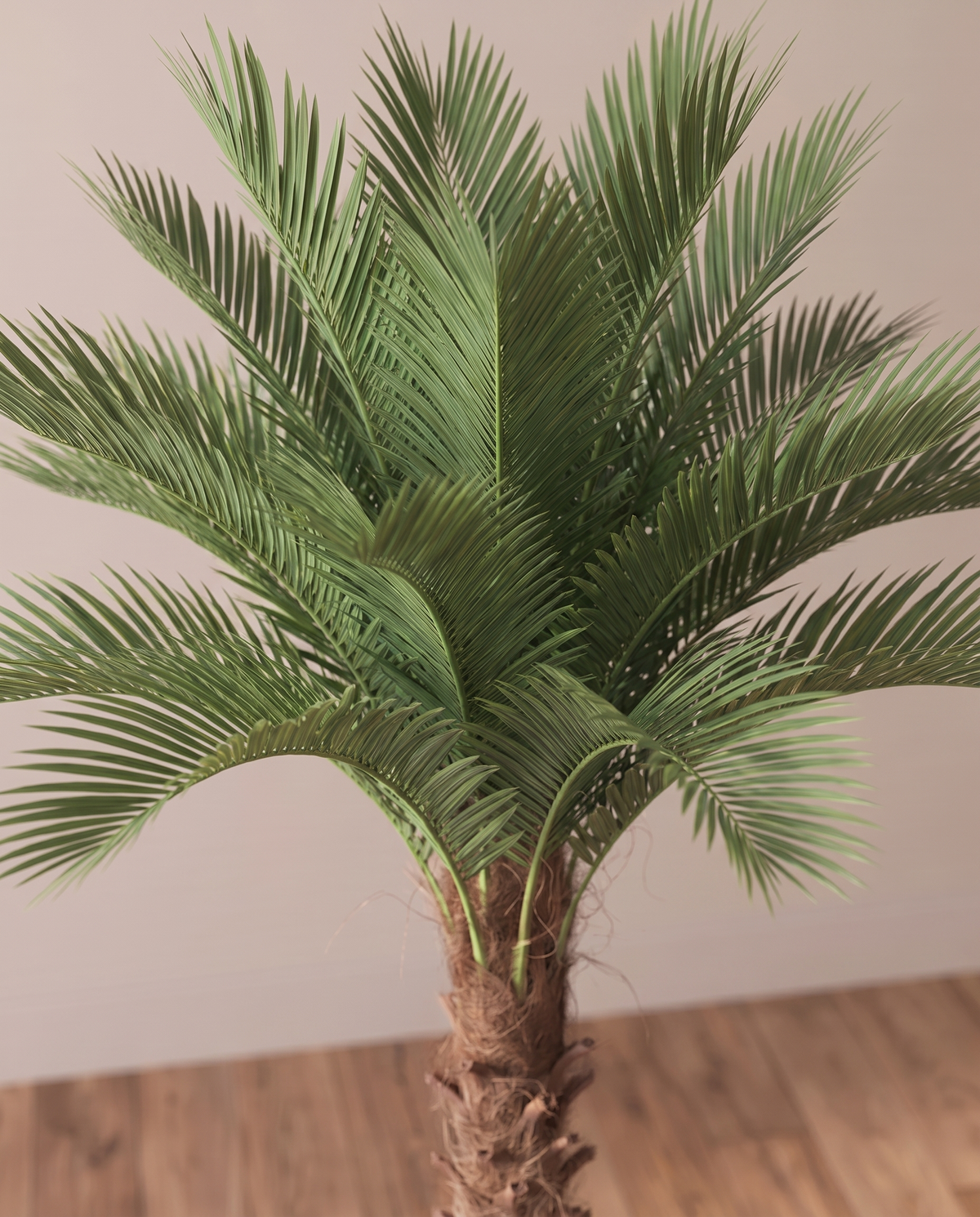 Phoenix Tropical Artificial Palm Tree – crown of fronds