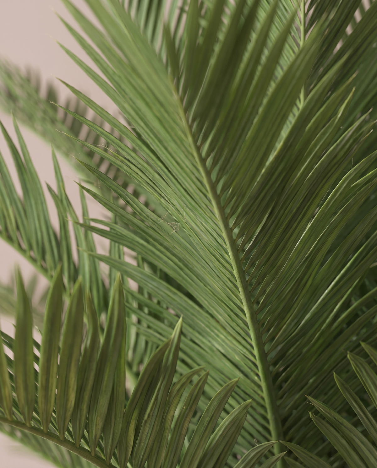 Phoenix Tropical Artificial Palm Tree – frond close-up