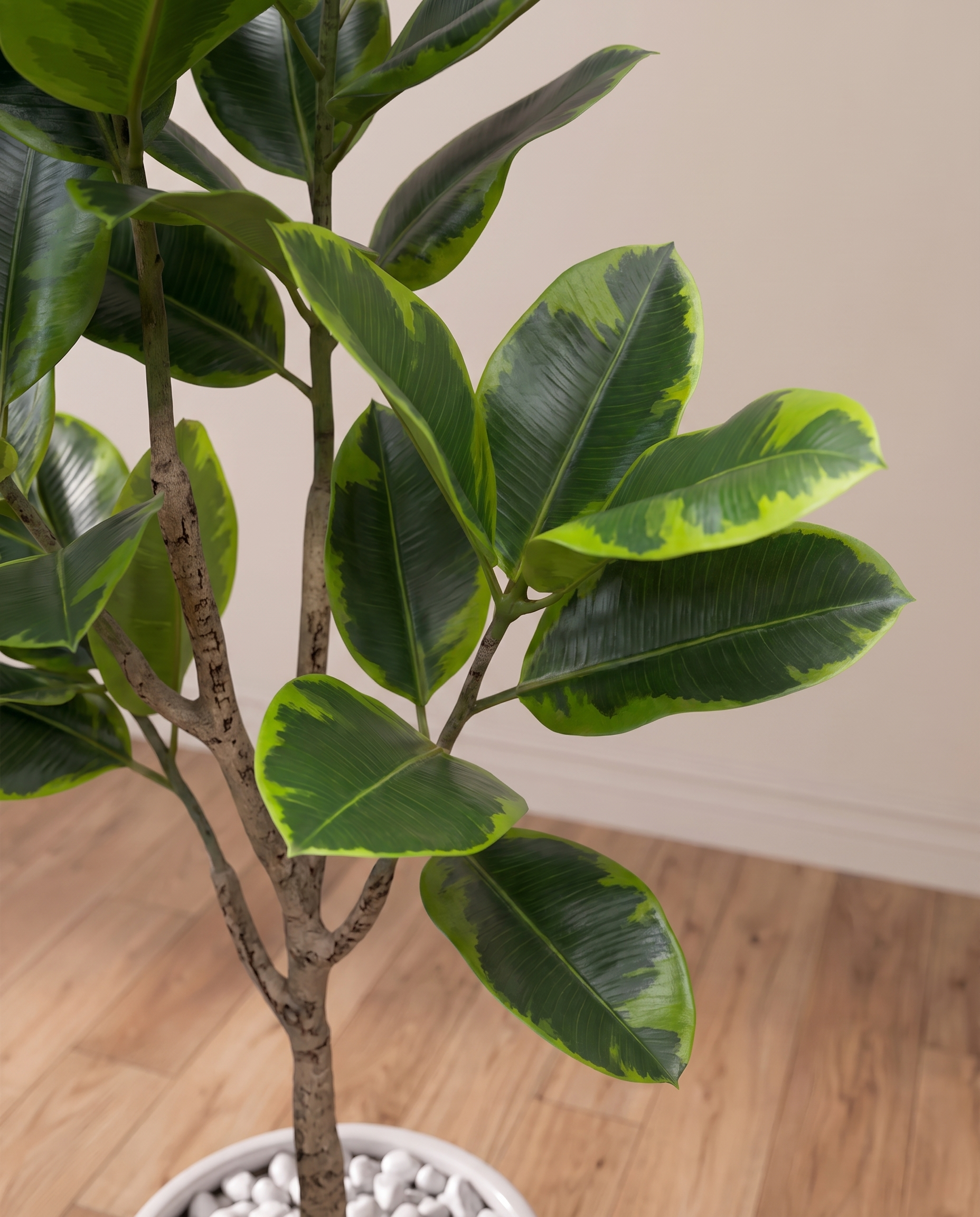 Artificial Fiddle Leaf Fig Tree Ficus Lyrata