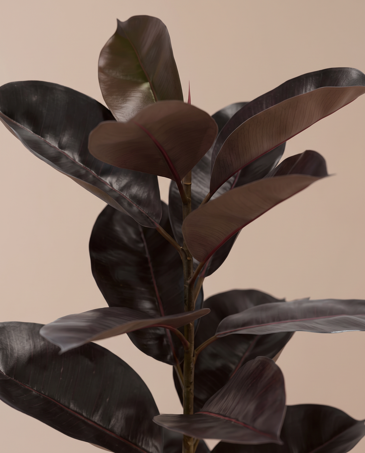 Artificial Faux Ficus Tree – glossy leaf close-up