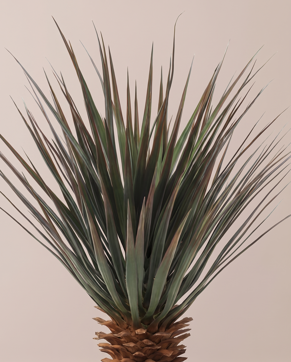 Artificial Yucca Gloriosa Plant – spiky leaf detail