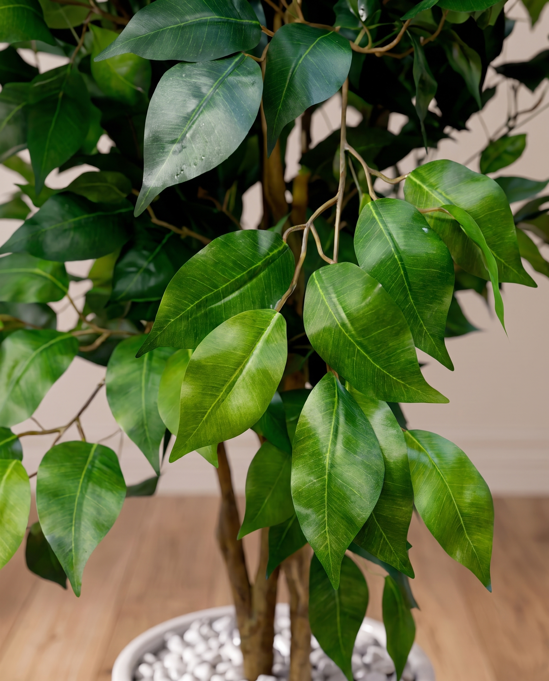 Exotica Ficus Benjamina Artificial Plant
