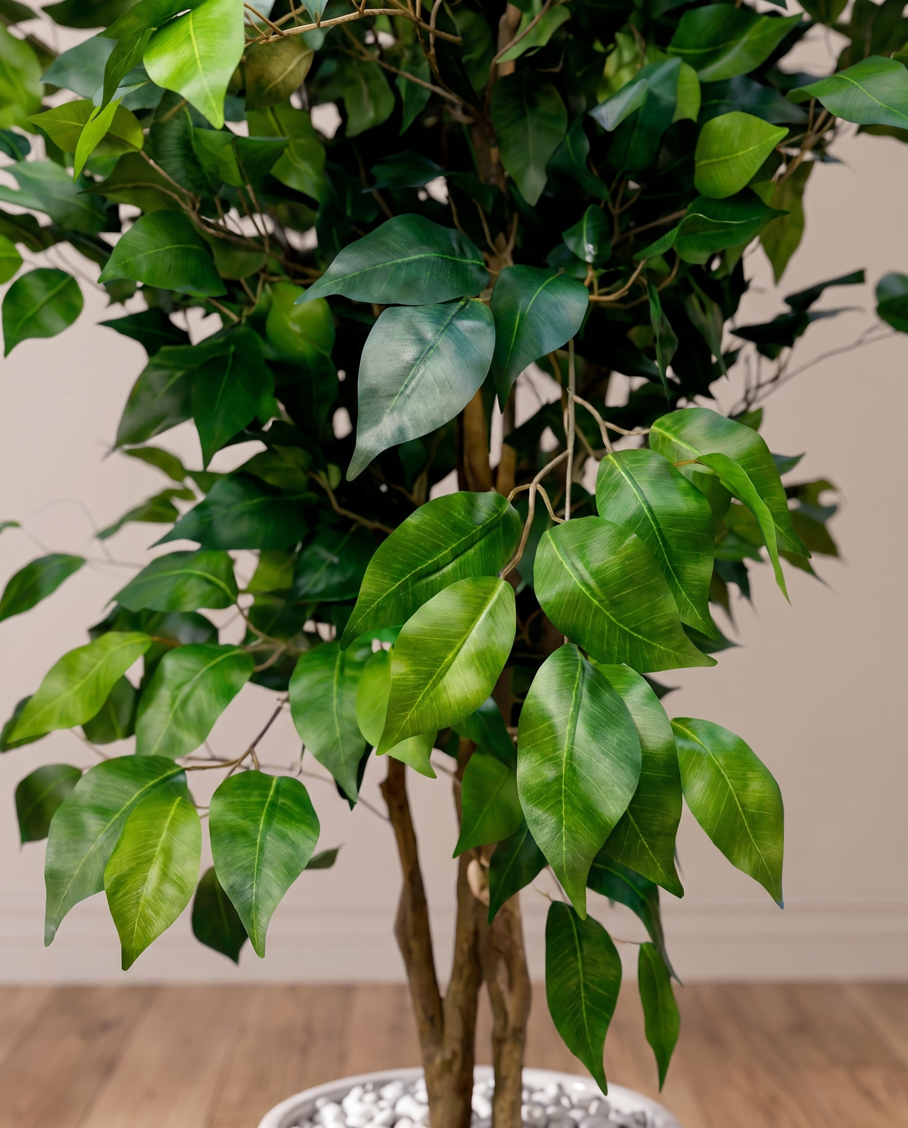 Exotica Ficus Benjamina Artificial Plant