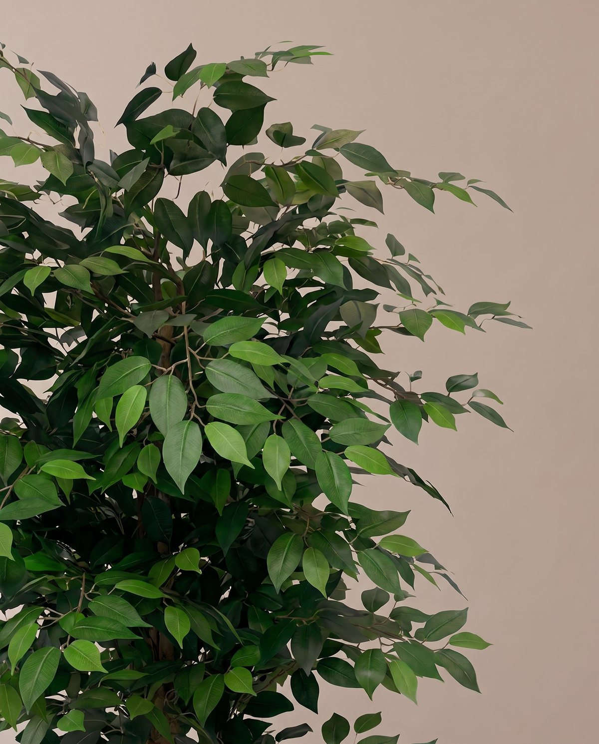 Artificial Ficus Benjamina Tree