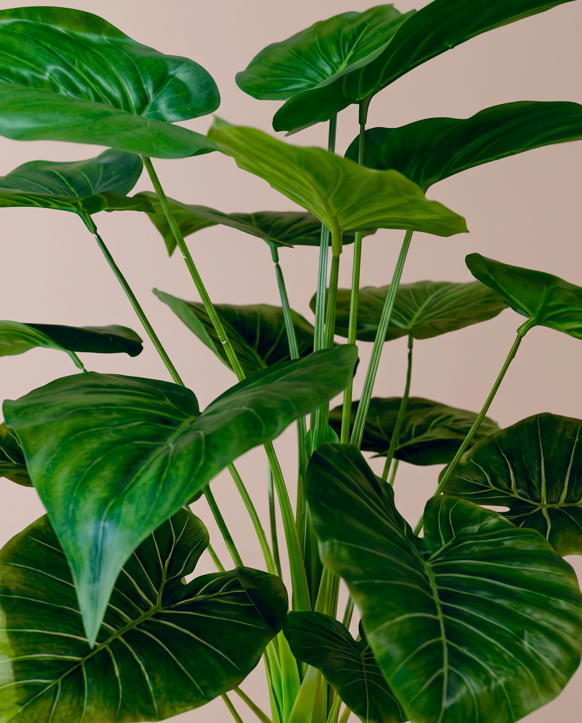 Large Green Leaf Artificial Alocasia Plant – veined leaf detail