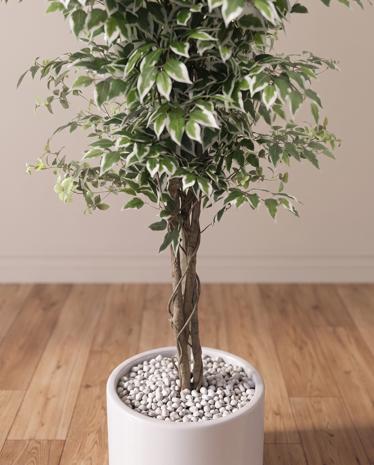 Artificial Ficus Benjamina Tree with Variegated Leaves