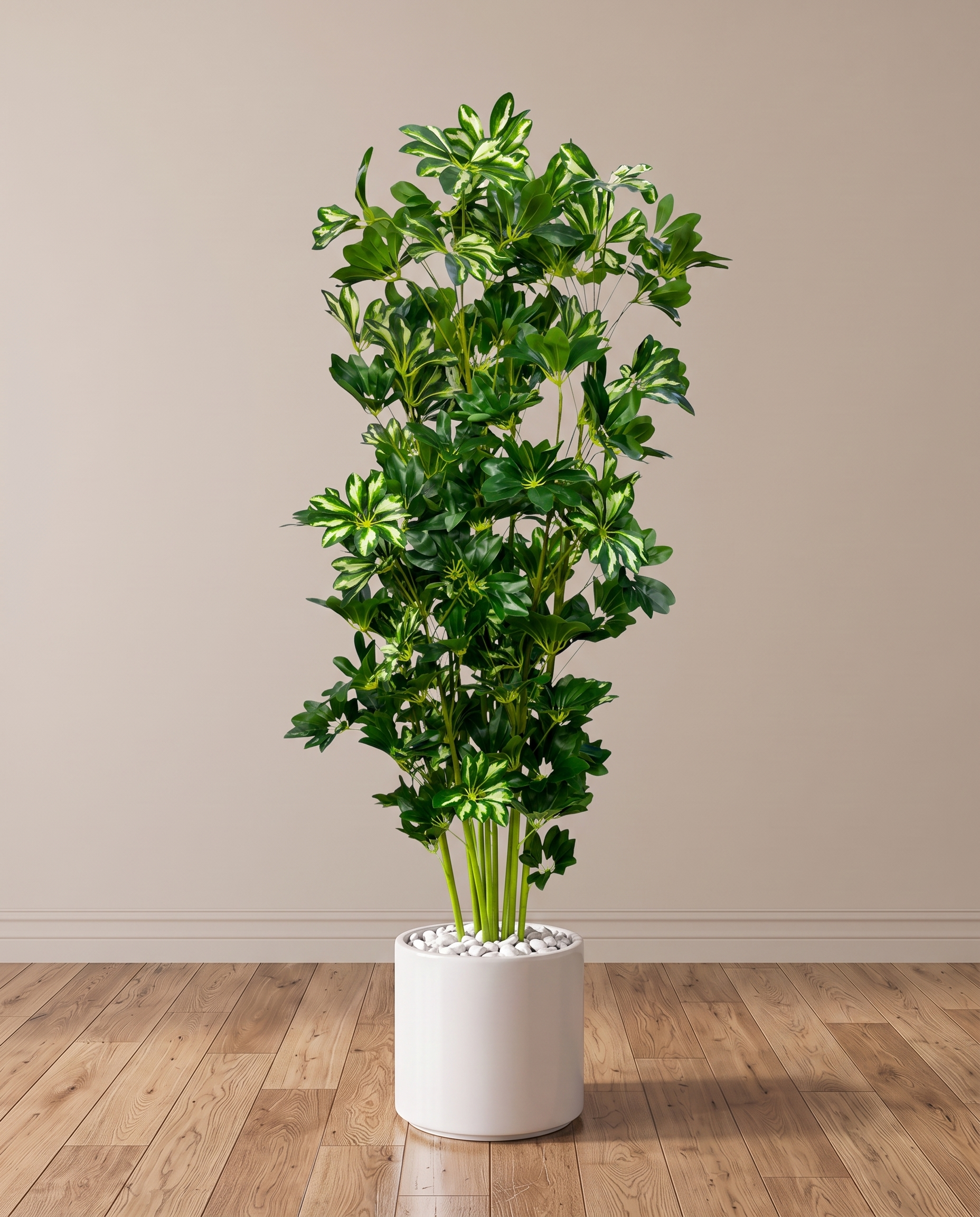 Eva Schefflera Artificial Tree with Variegated Leaves