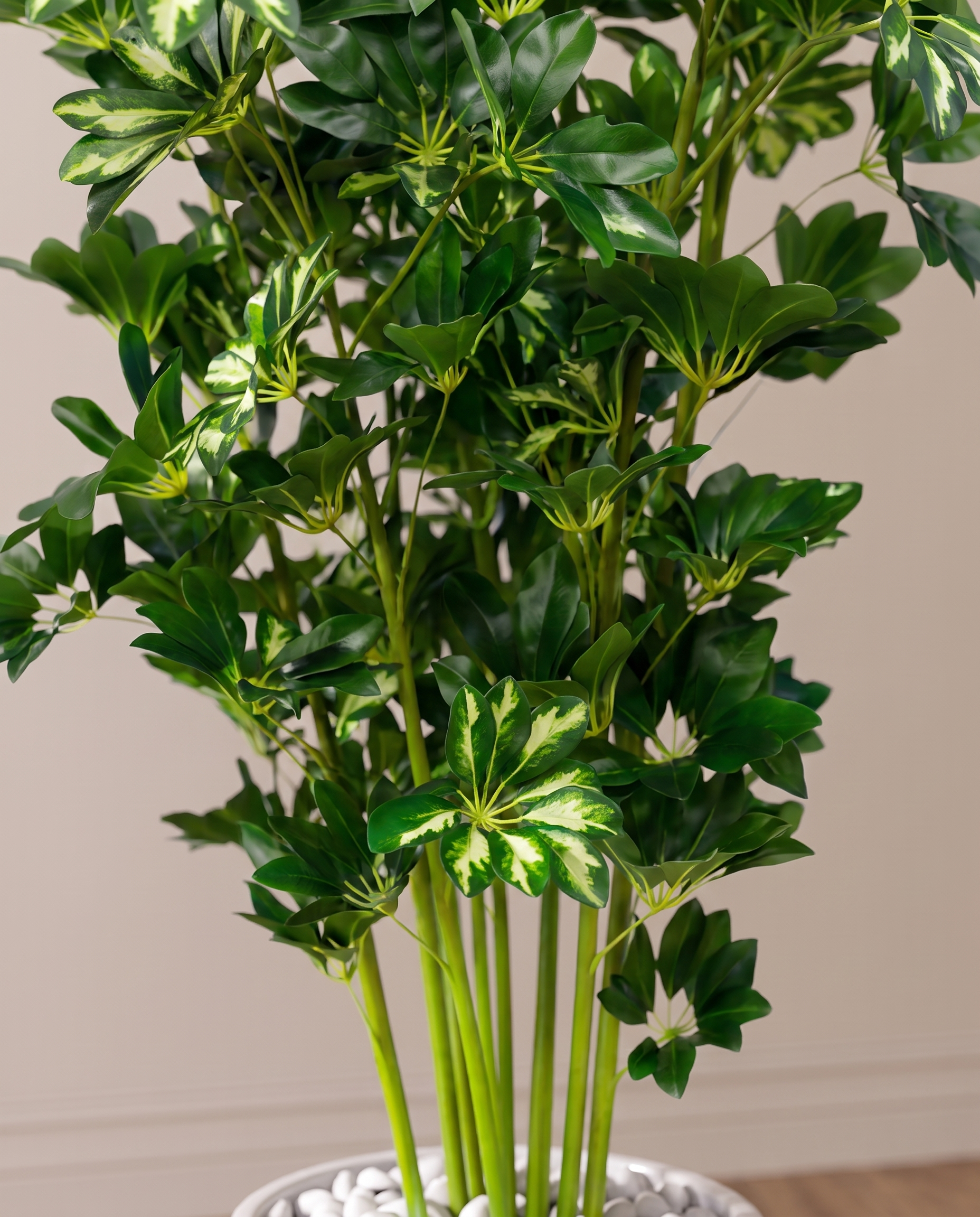Eva Schefflera Artificial Tree with Variegated Leaves