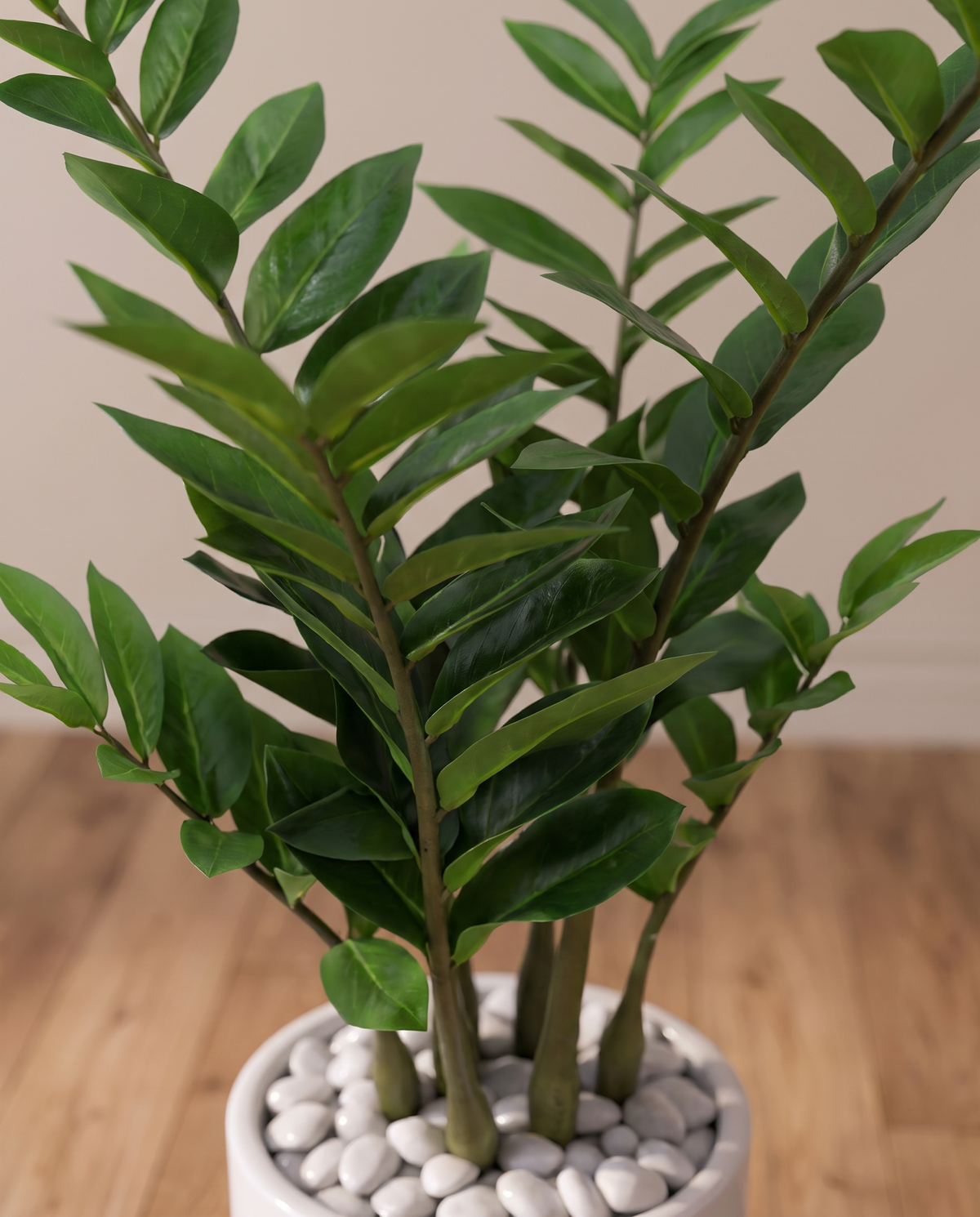 Zanzibar Gem Artificial Plant Zamioculcas Zamiifolia