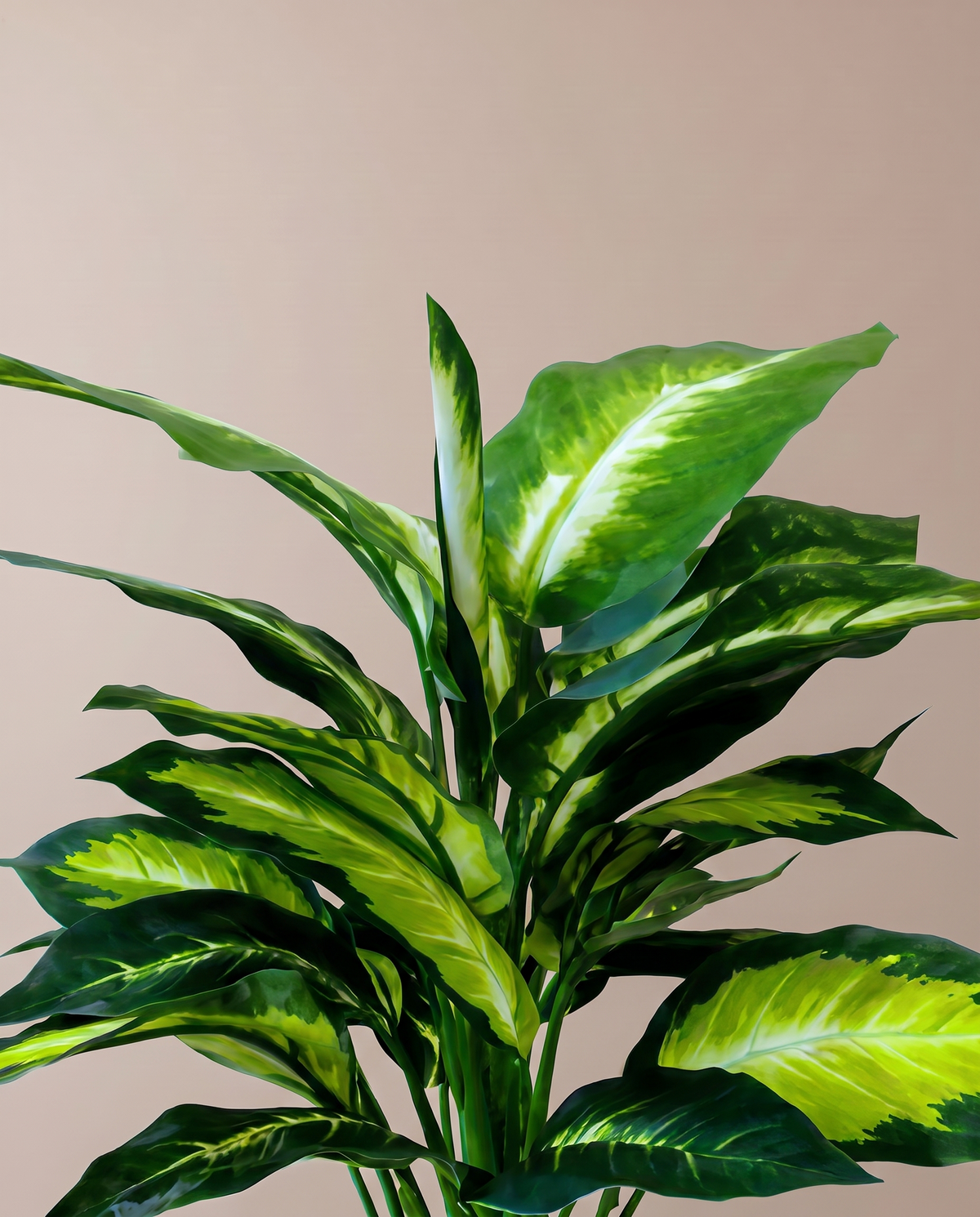 Leopard Lily Dumb Cane Artificial Dieffenbachia Plant – lime-centred leaf detail