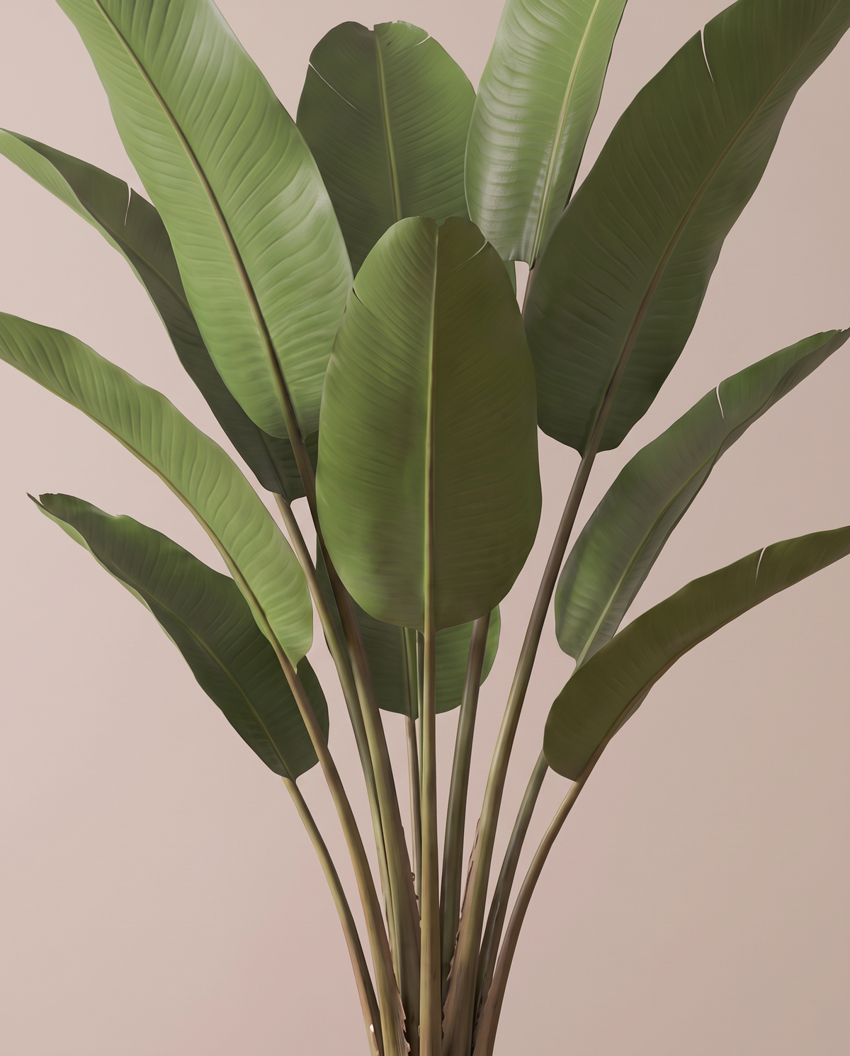 Artificial Strelitzia Reginae Plant