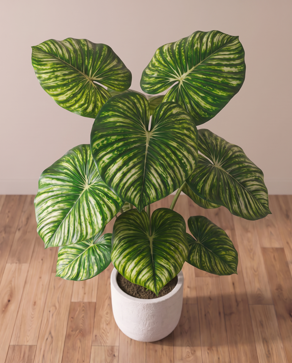 Artificial Calathea Orbifolia Plant – striped leaf detail