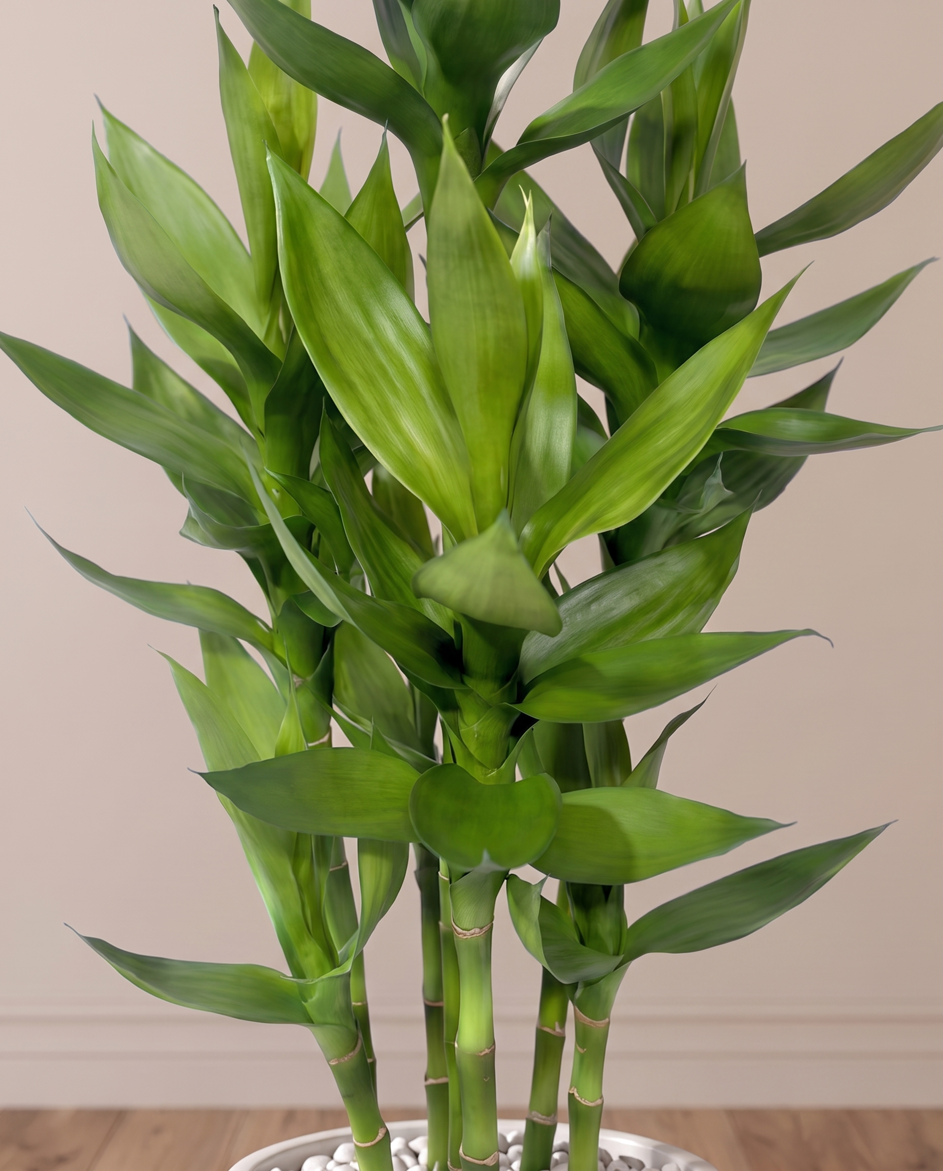 Artificial Lucky Bamboo Plant