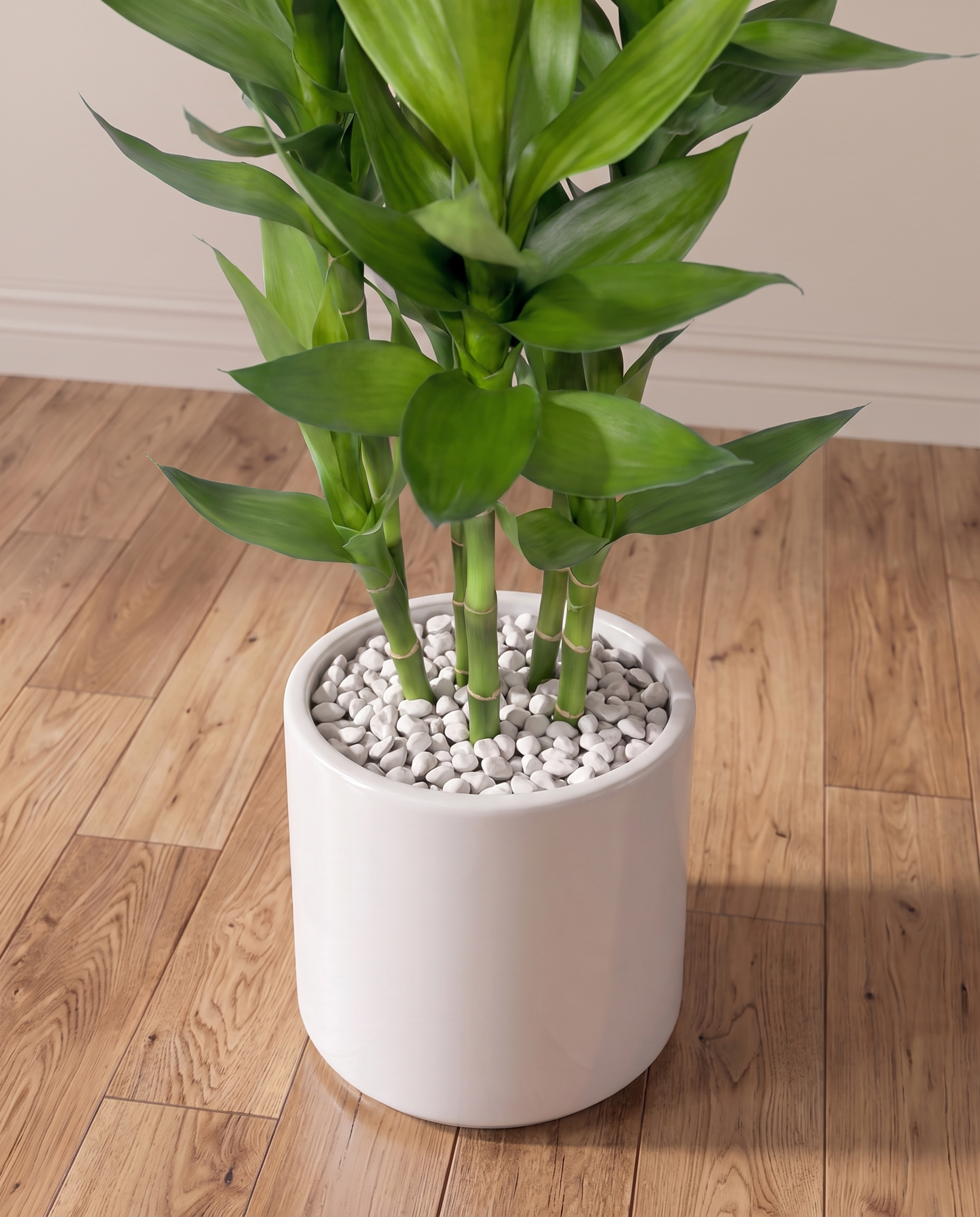 Artificial Lucky Bamboo Plant