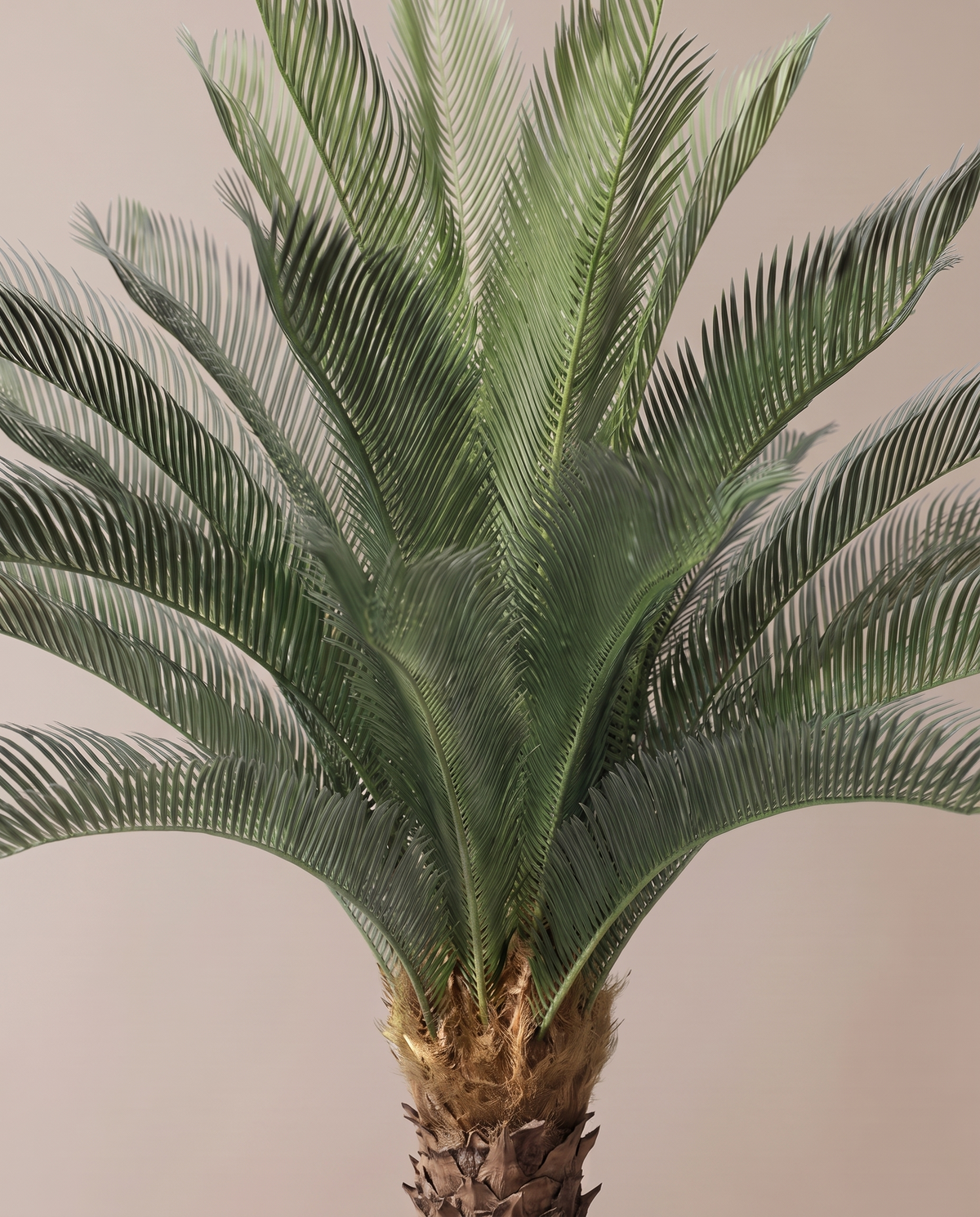 Artificial Cycas Sogo Palm Tree