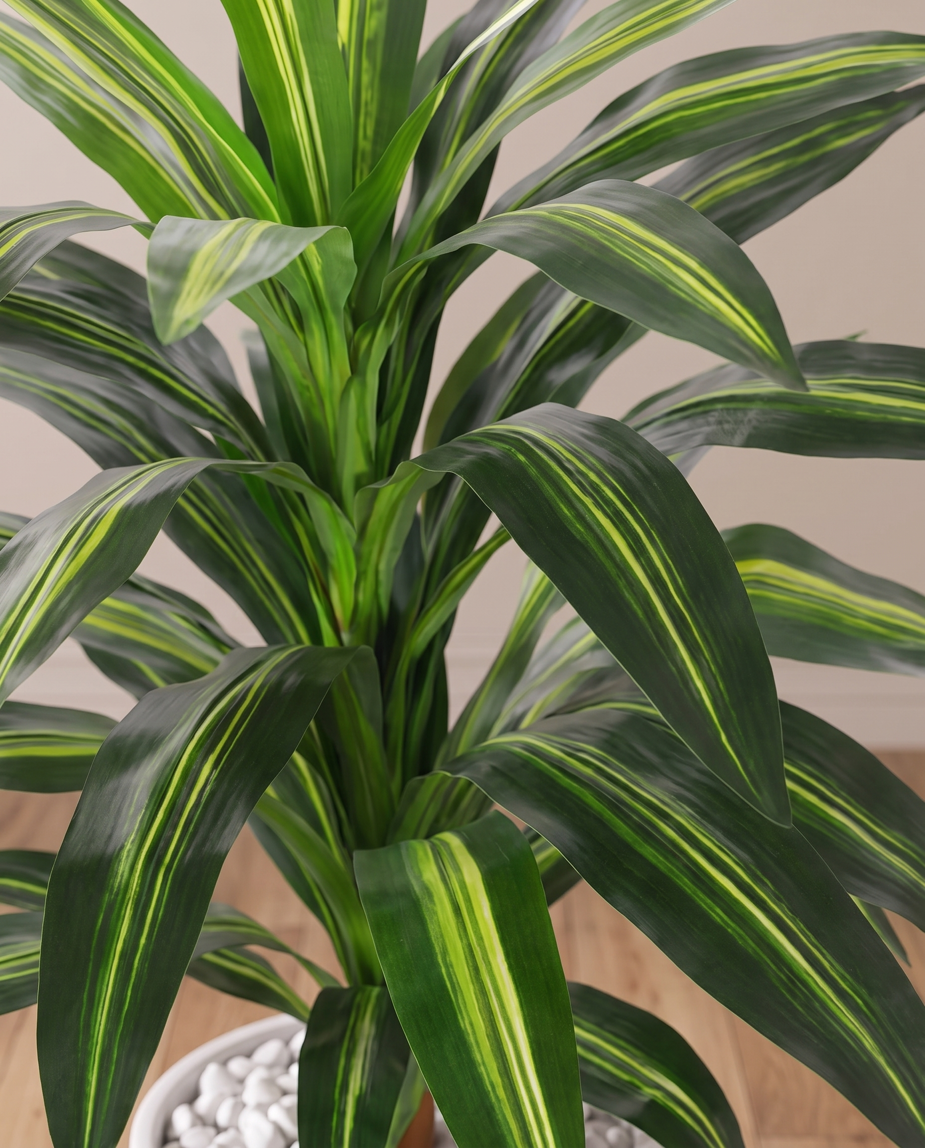 Dracaena Lisa Artificial Plant