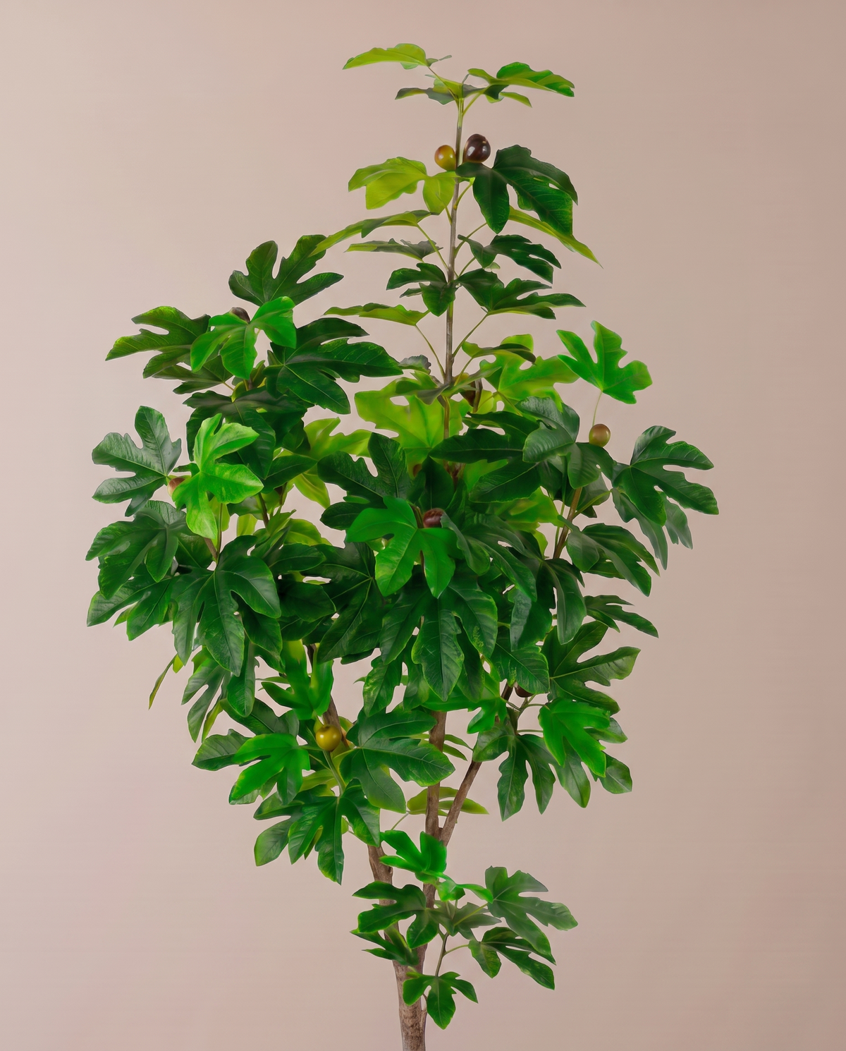 Artificial Fig Tree – lobed leaf detail