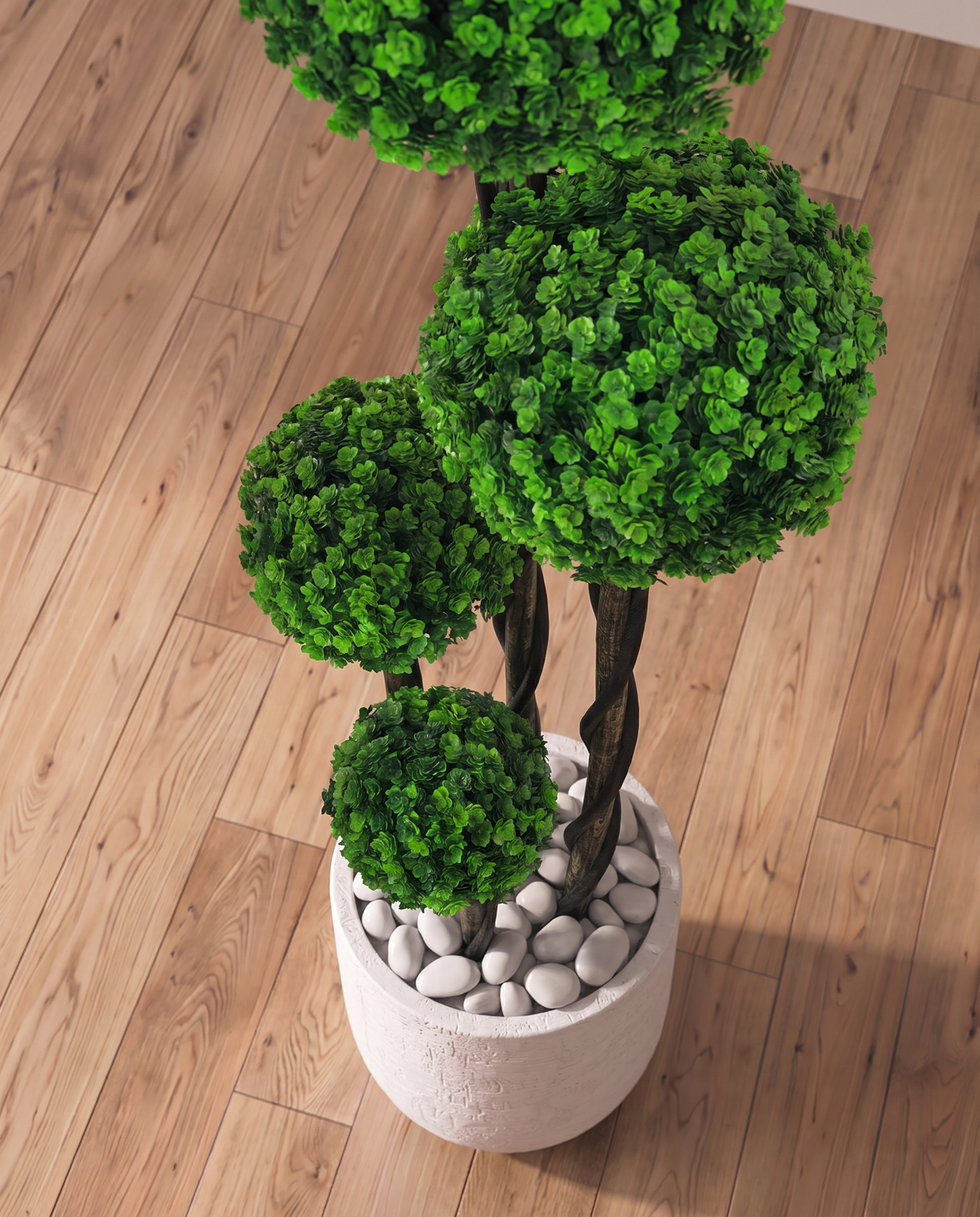 Boxwood Moss Ball Topiary Bonsai Tree 4 Tier