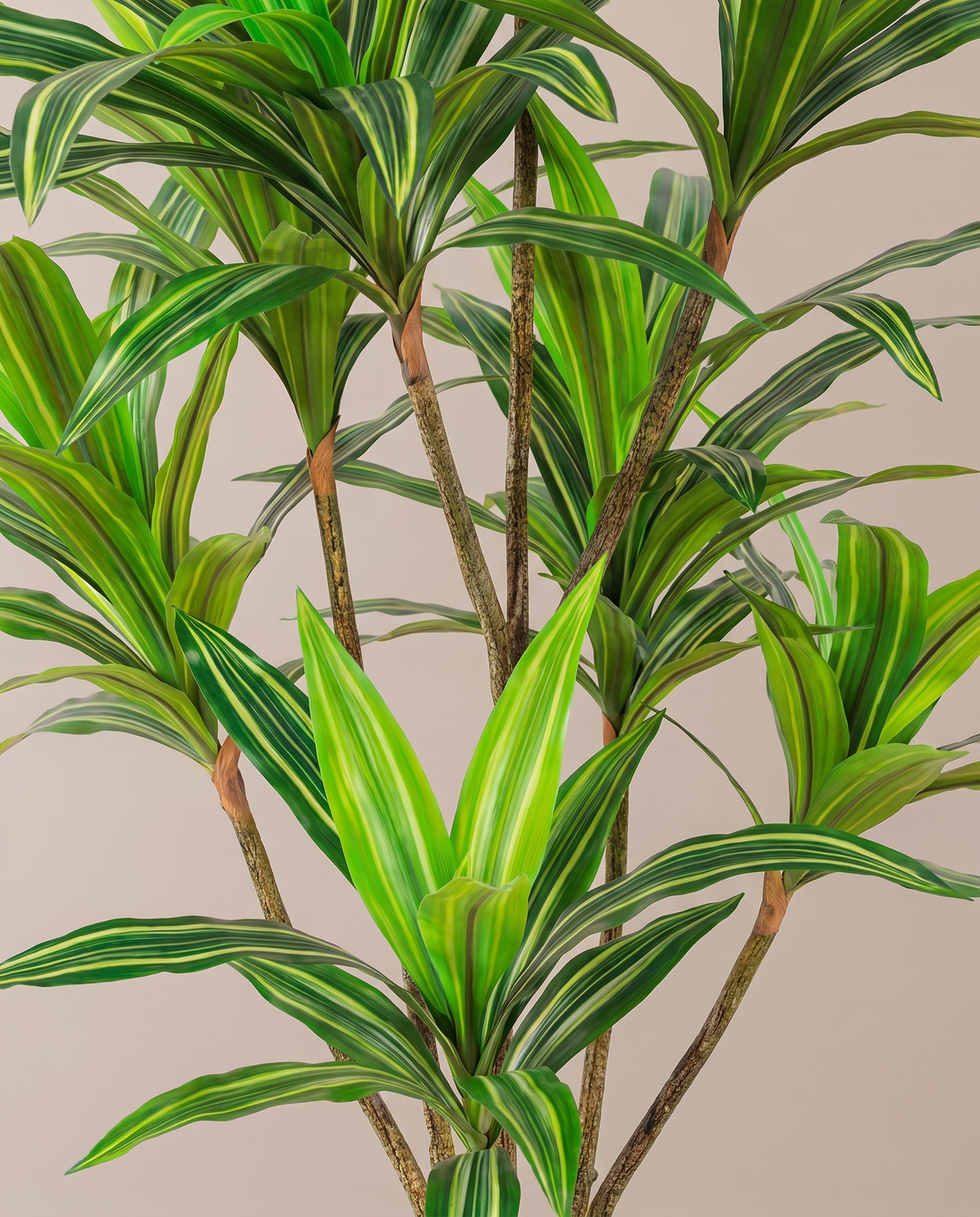 Faux Single Stem Variegated Yucca Plant