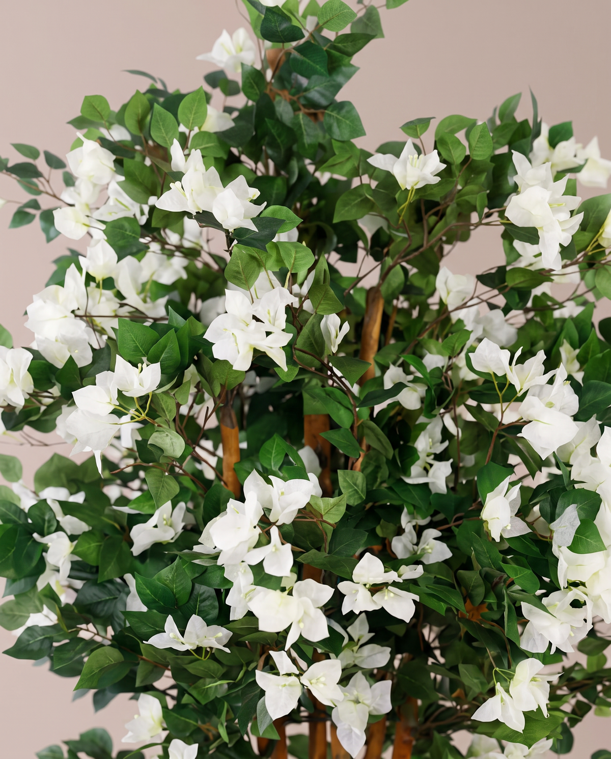 White Flower Bougainvillea Artificial Tree – bloom and foliage close-up