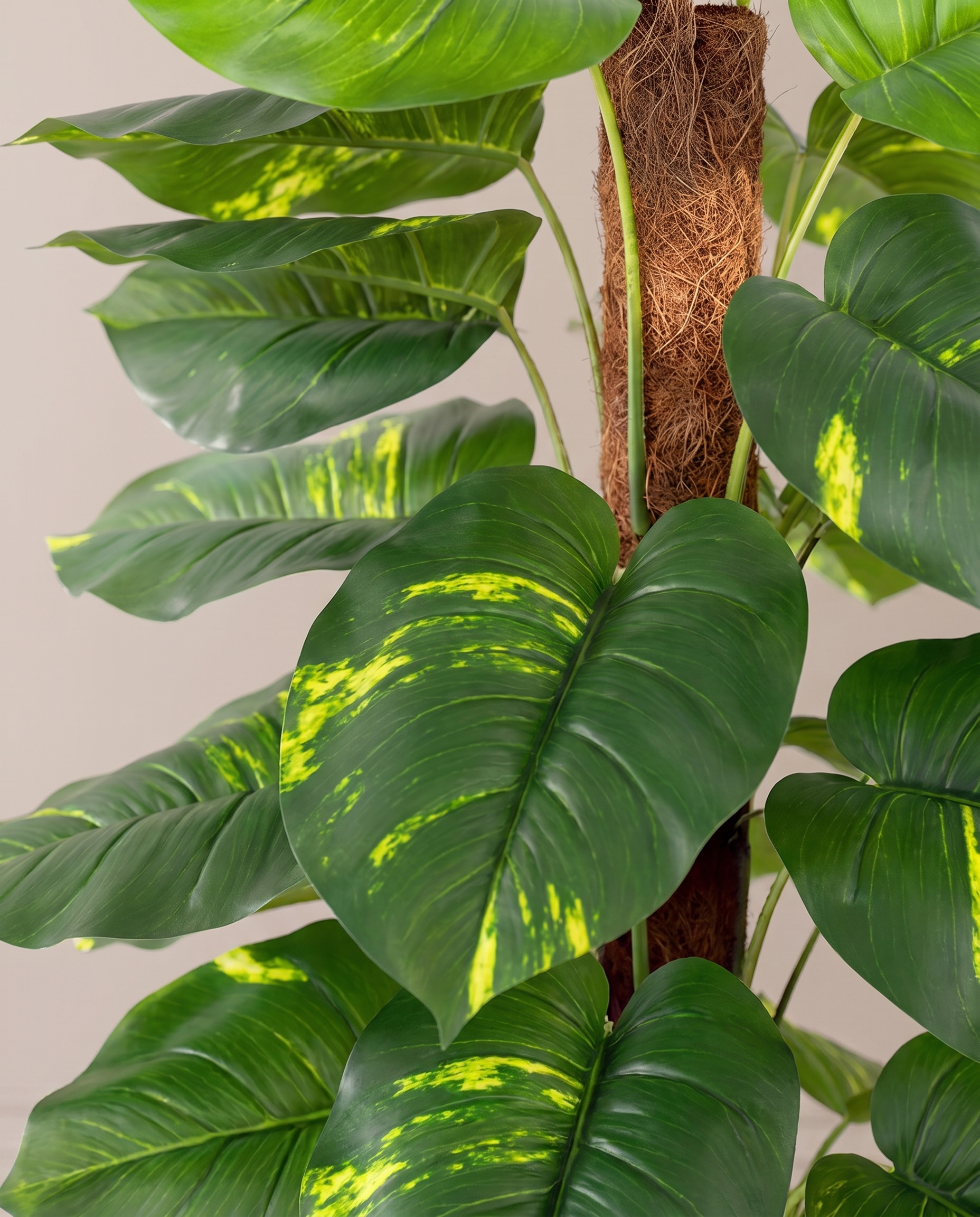 Faux Ornamental Money Plant