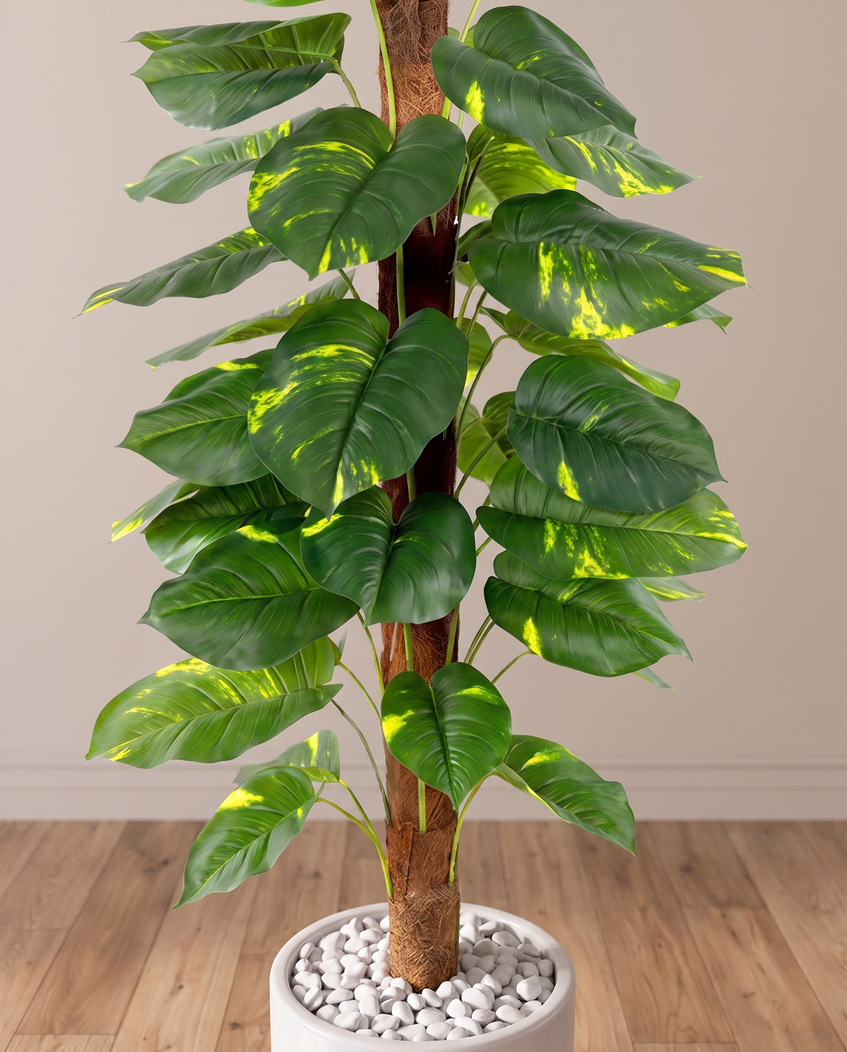Faux Ornamental Money Plant