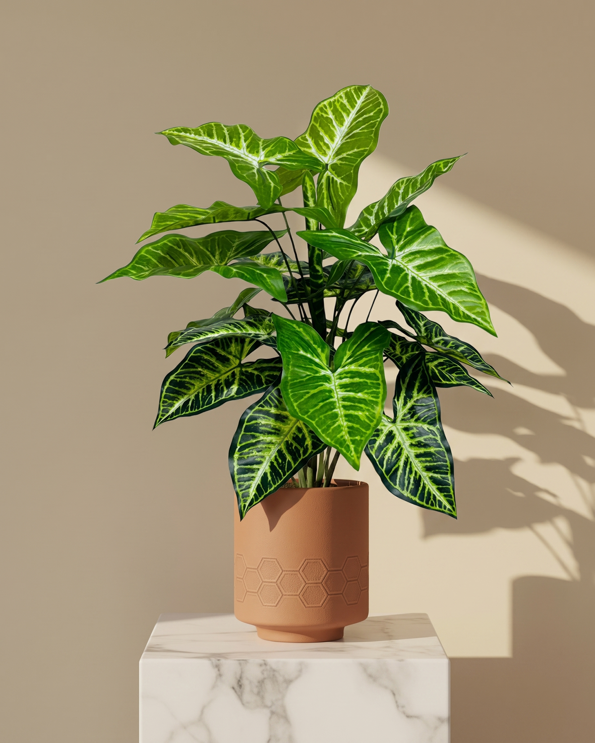 A potted Calathea Oregana plant with vibrant green and white variegated leaves, presented in a terracotta-colored hexagonal planter on a white marble pedestal against a warm beige background.