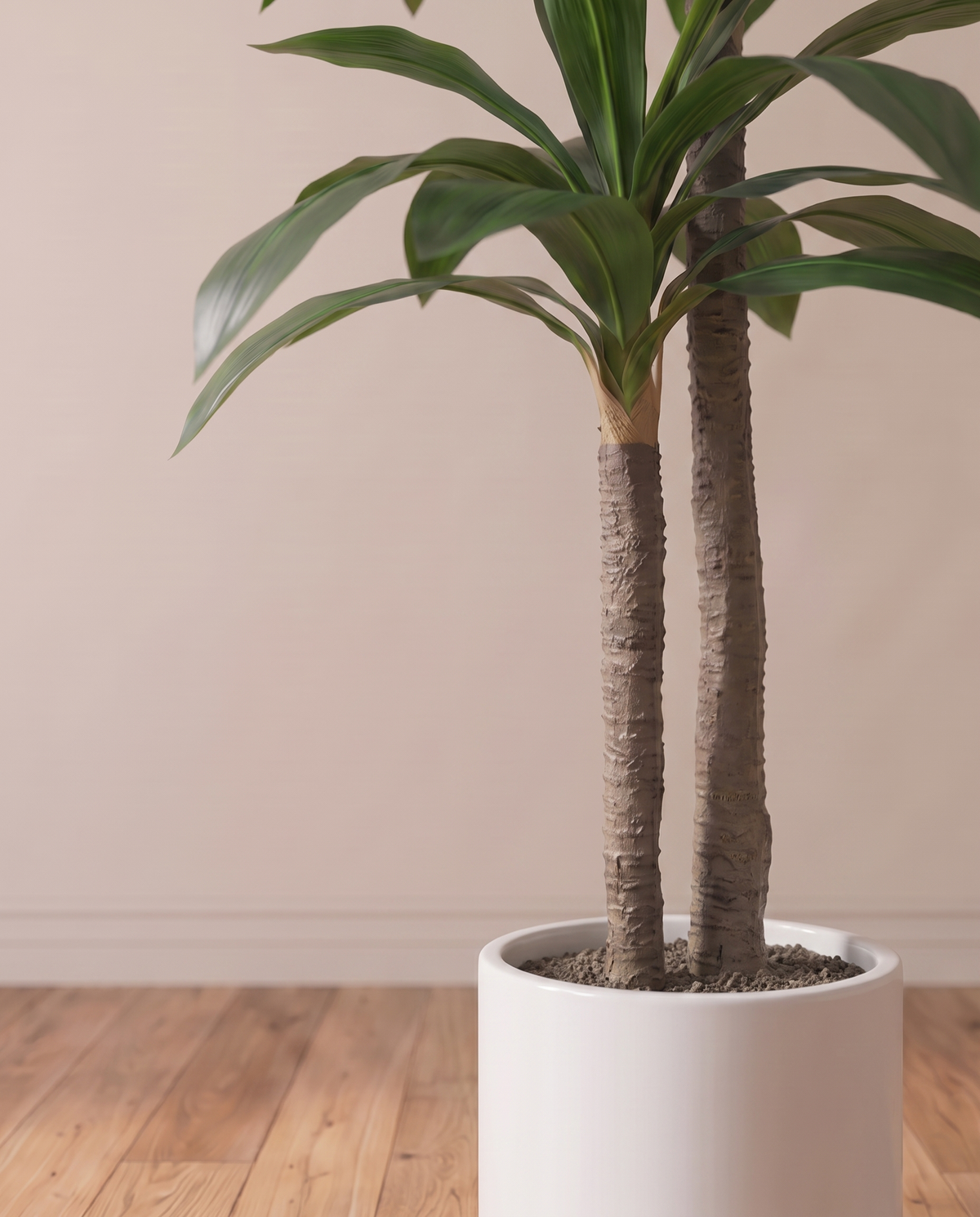 Artificial Double Headed Dracaena Fragrans Tree