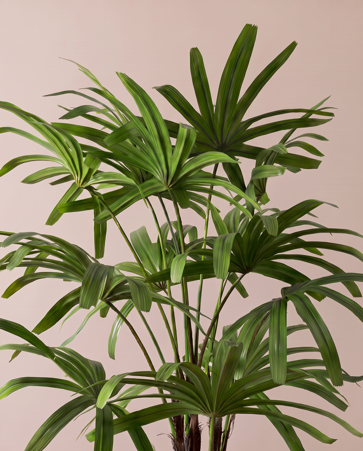 Artificial Broadleaf Lady Palm Plant – foliage detail