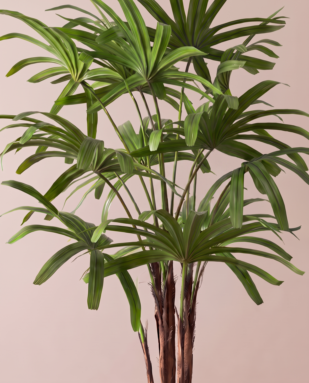 Artificial Broadleaf Lady Palm Plant – fan leaf close-up