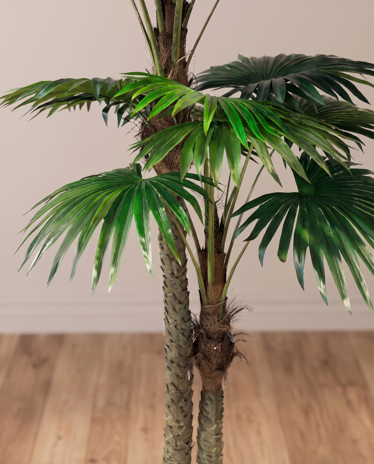 Twin Fan Palm Tree