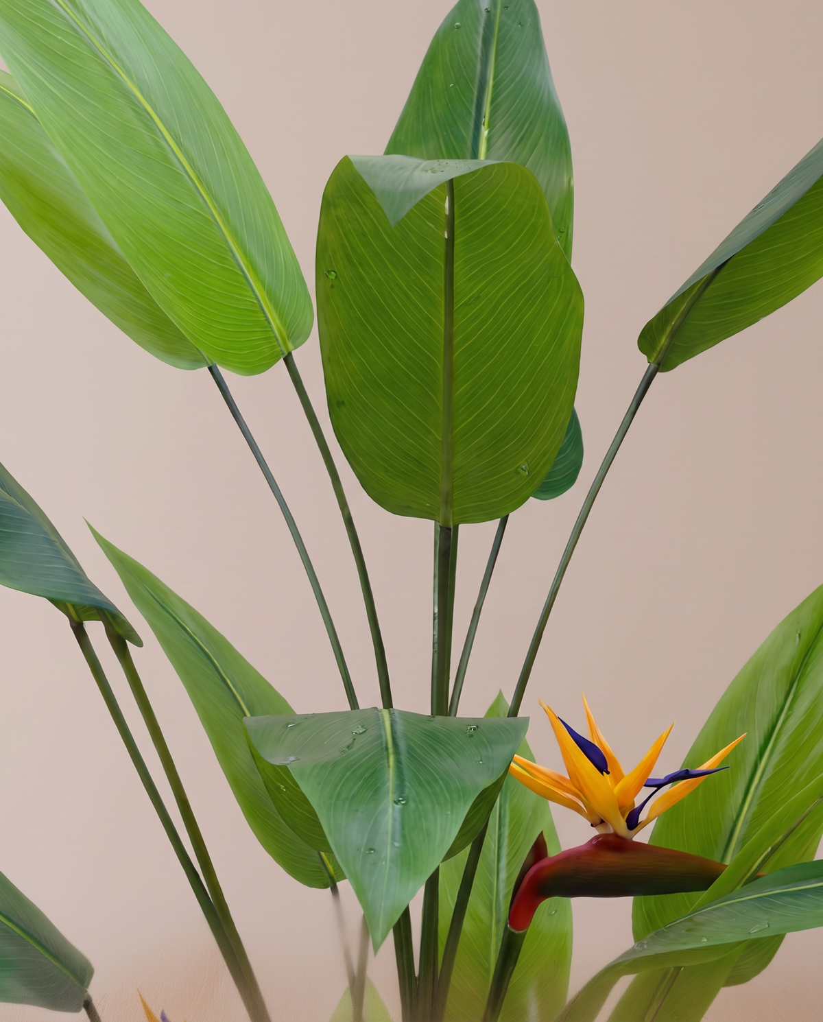 Bird of Paradise Artificial Plant with Flower