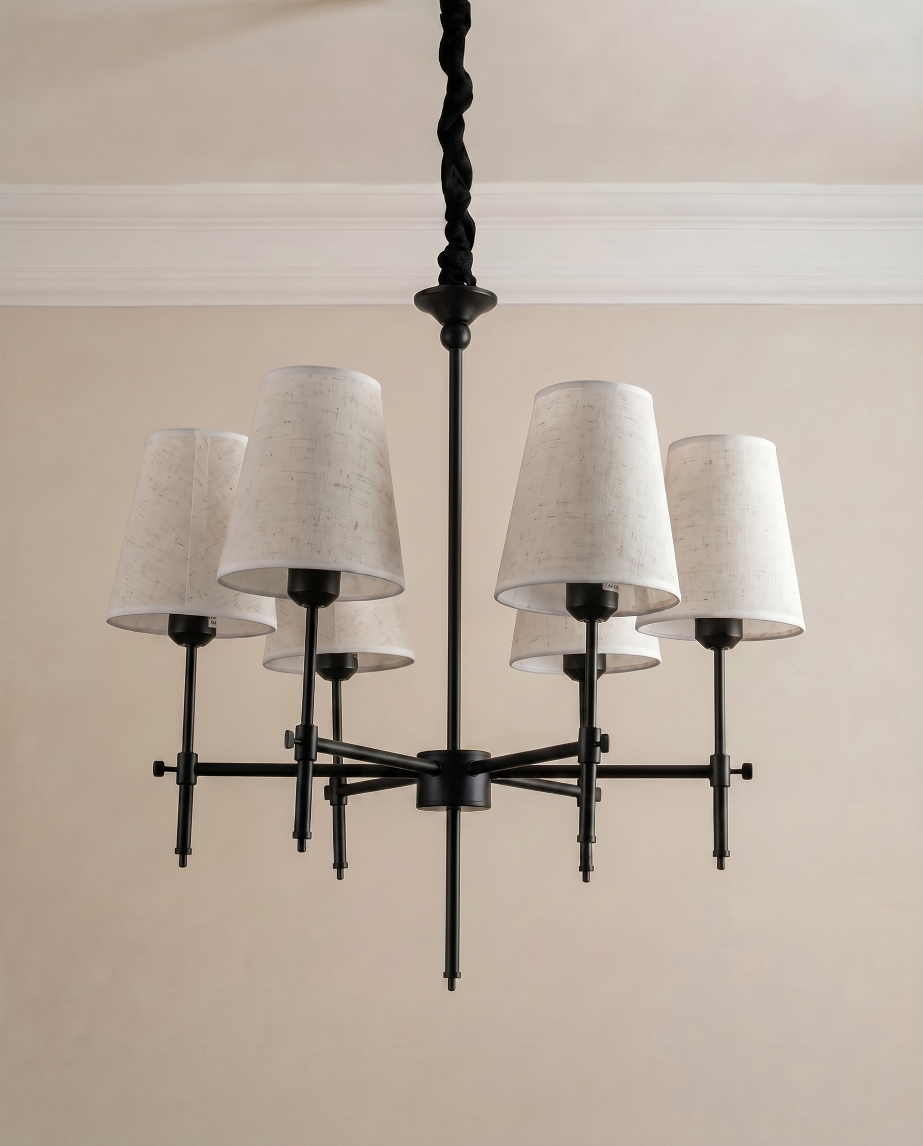 Raven Black & Gold Beige Chandelier — The Home Peck