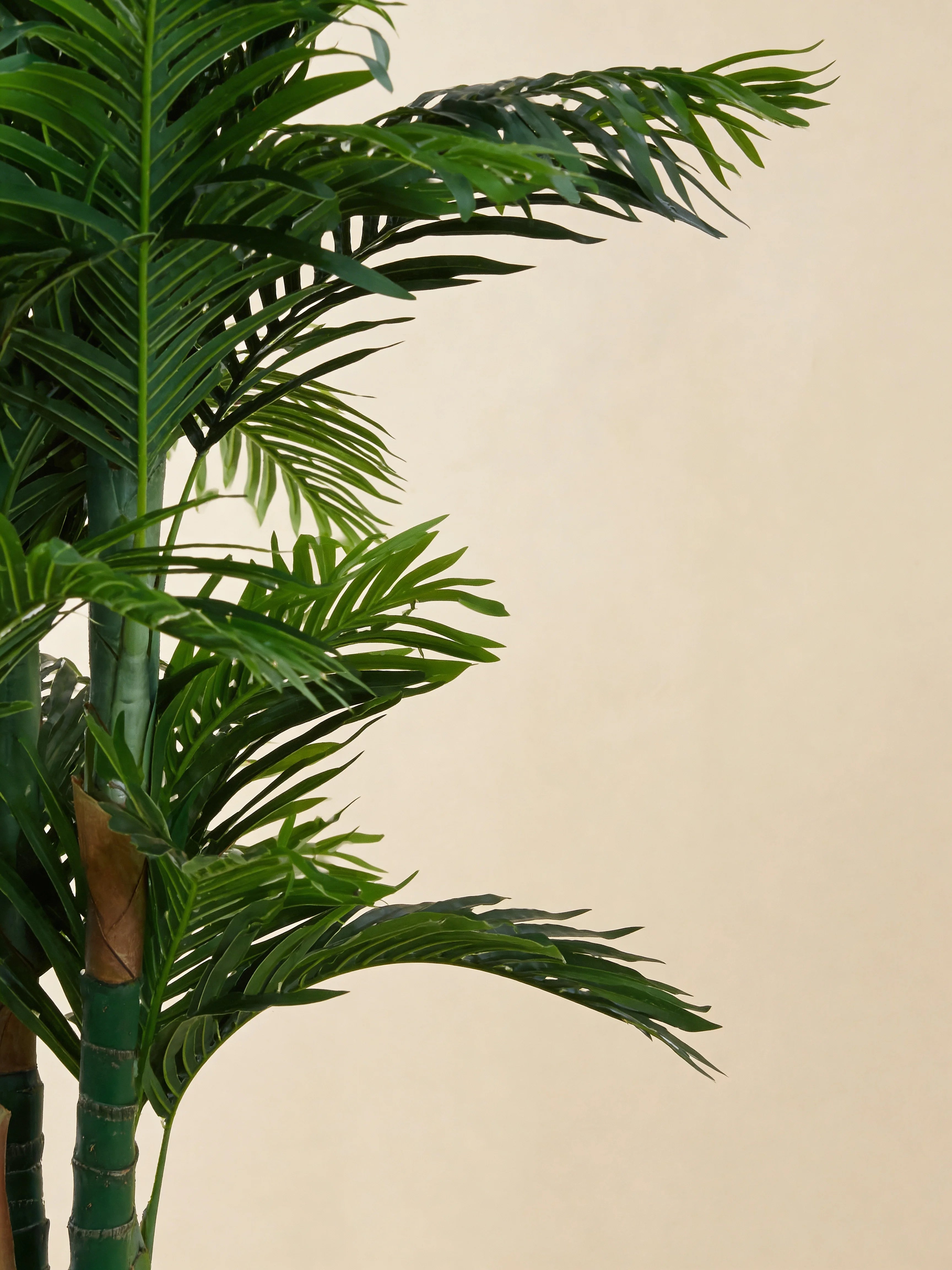 Artificial areca palm tree, close-up detail