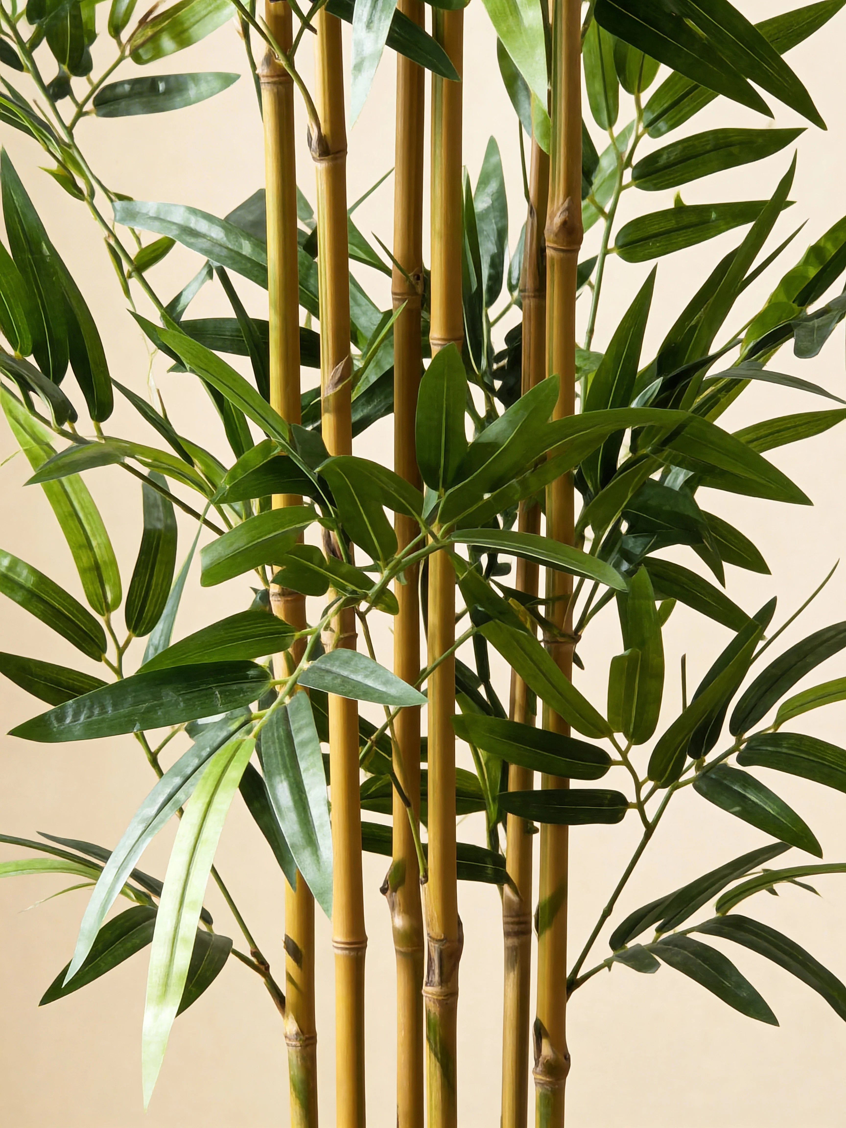 Artifical Bambusa Bamboo - Pale stemmed