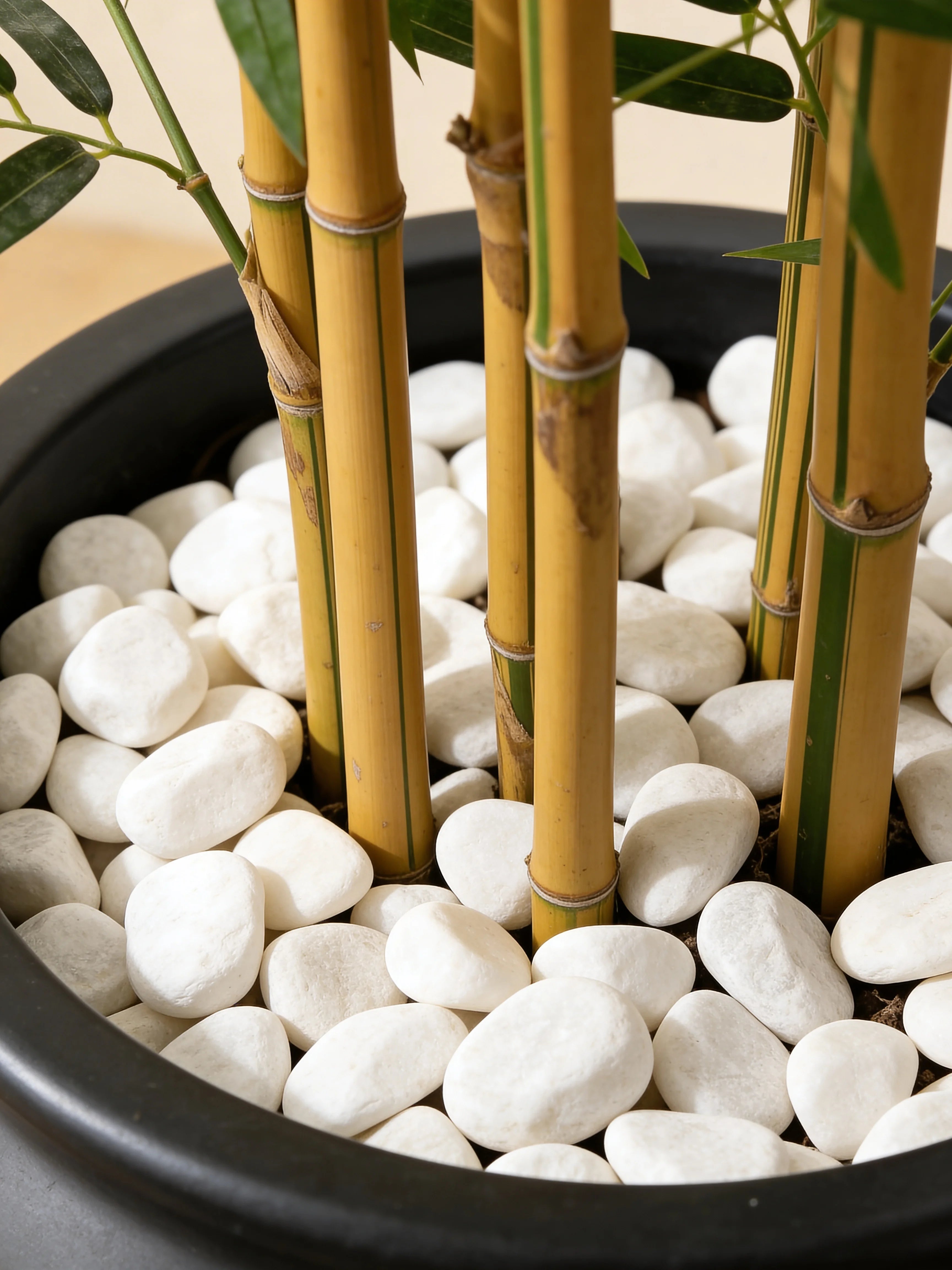 Pale-stem Bambusa bamboo artificial plant in a Dubai living room