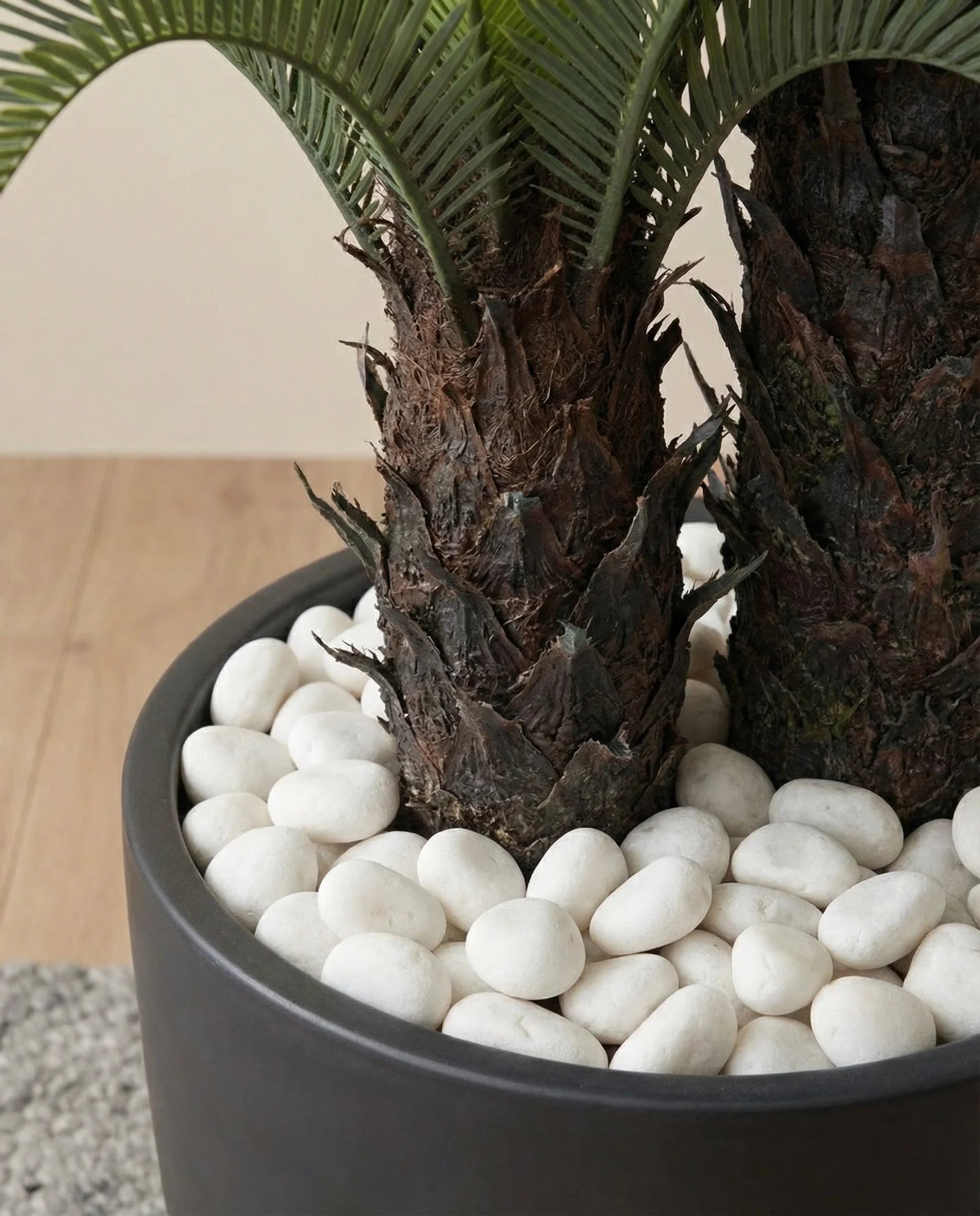 Double-headed cycas palm artificial tree in a Dubai living room