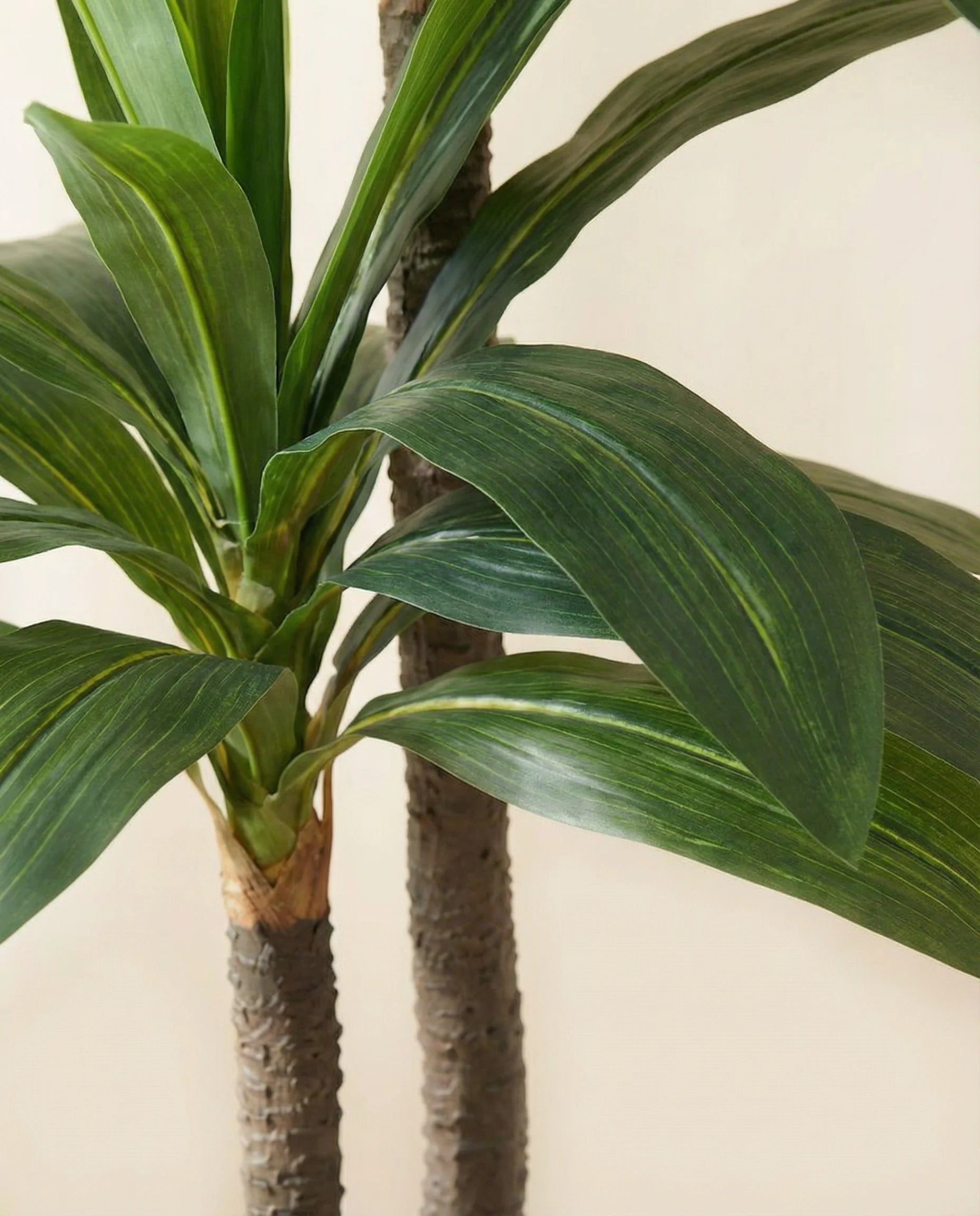 Double-headed artificial dracaena tree, close-up detail