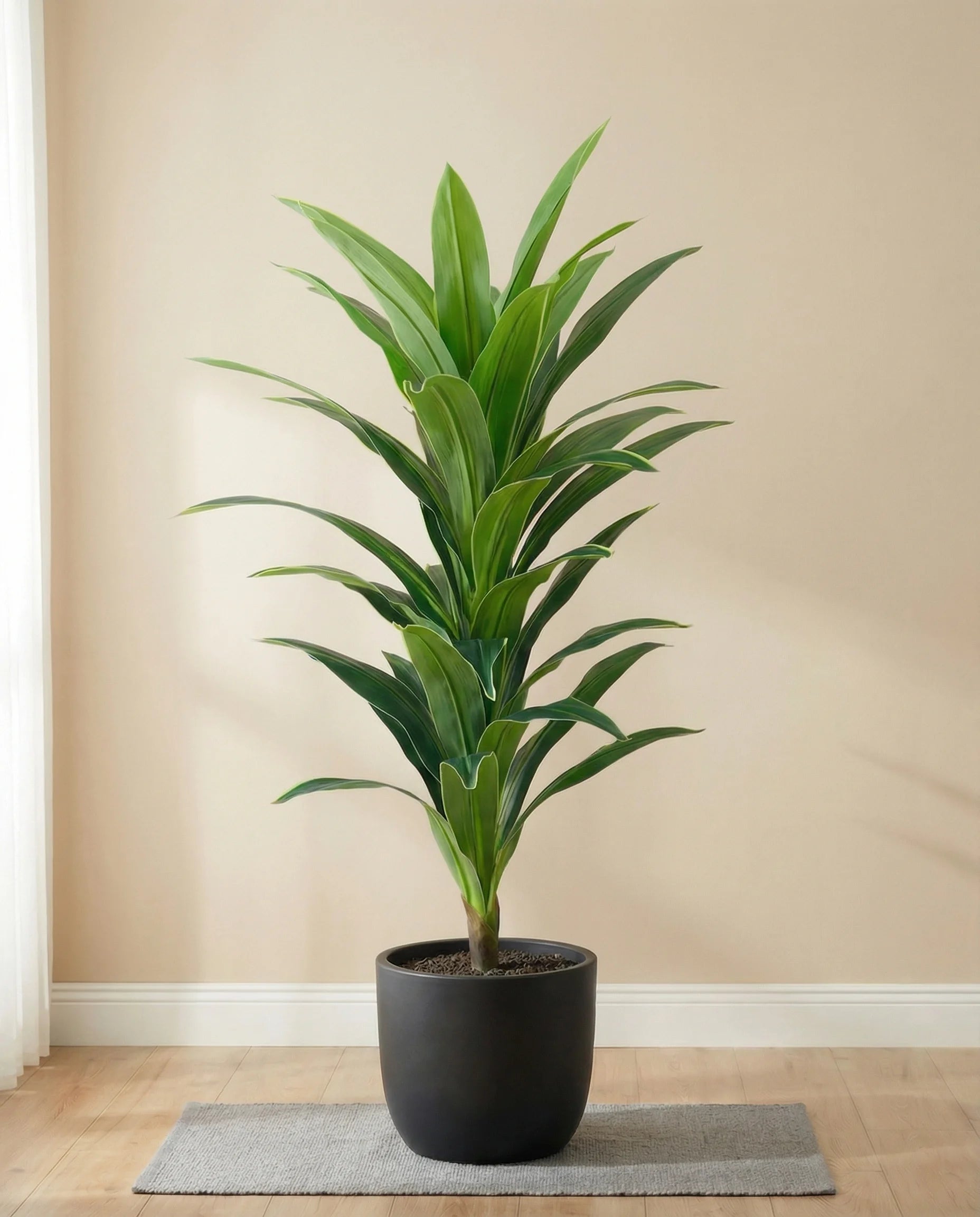 Green artificial dracaena fragrans plant