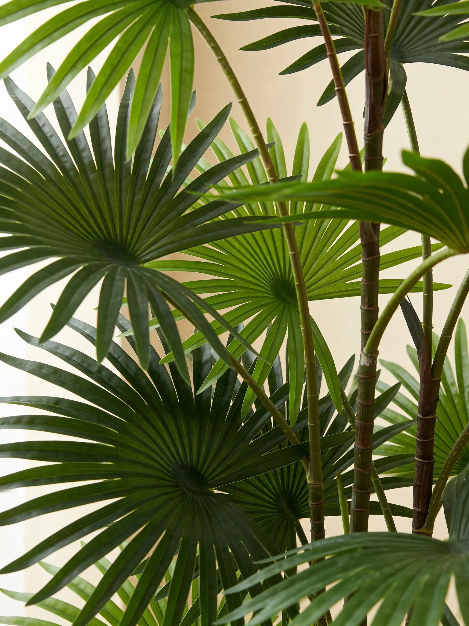 Artificial indoor fan palm plant, close-up detail
