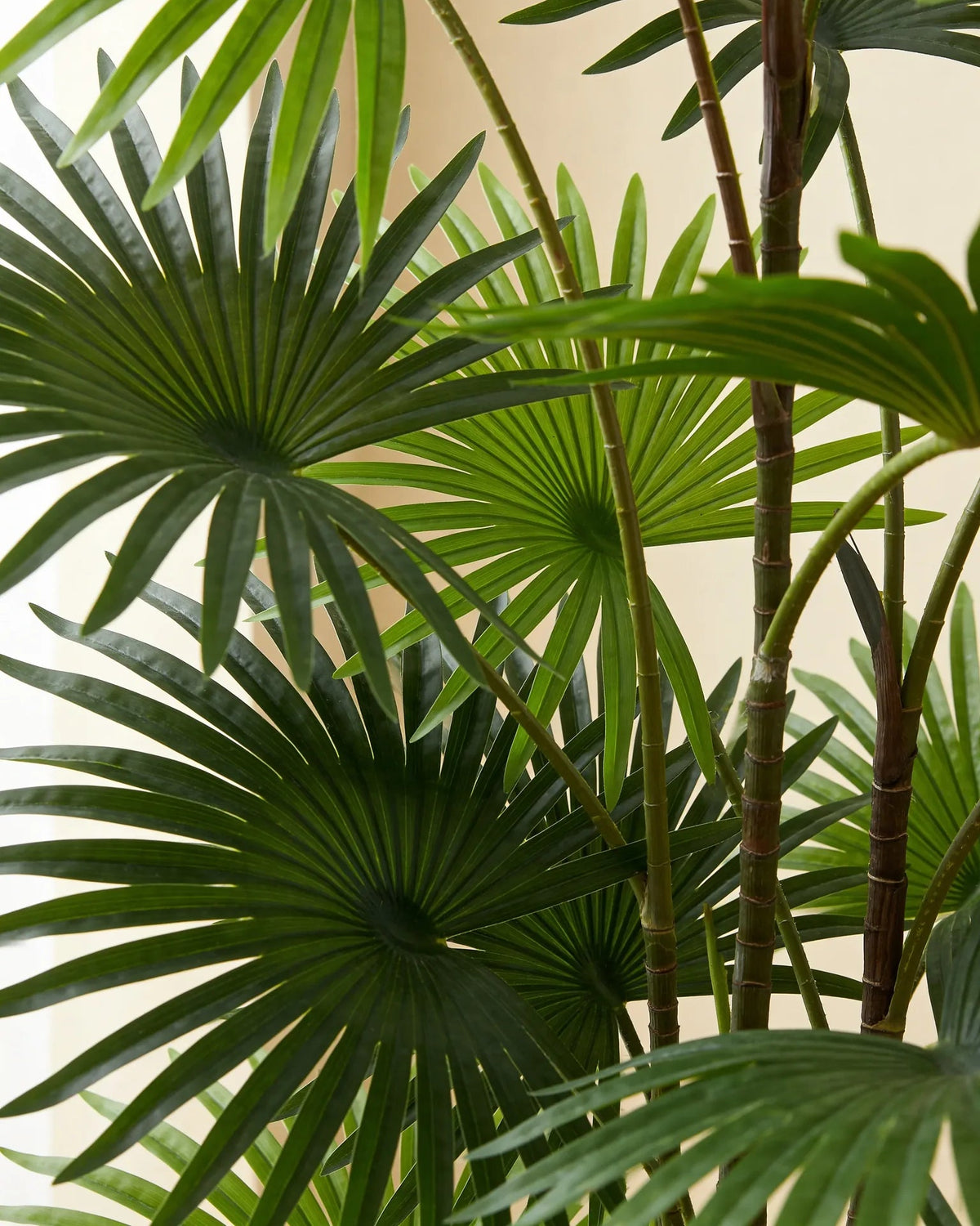 Artificial indoor fan palm plant, close-up detail