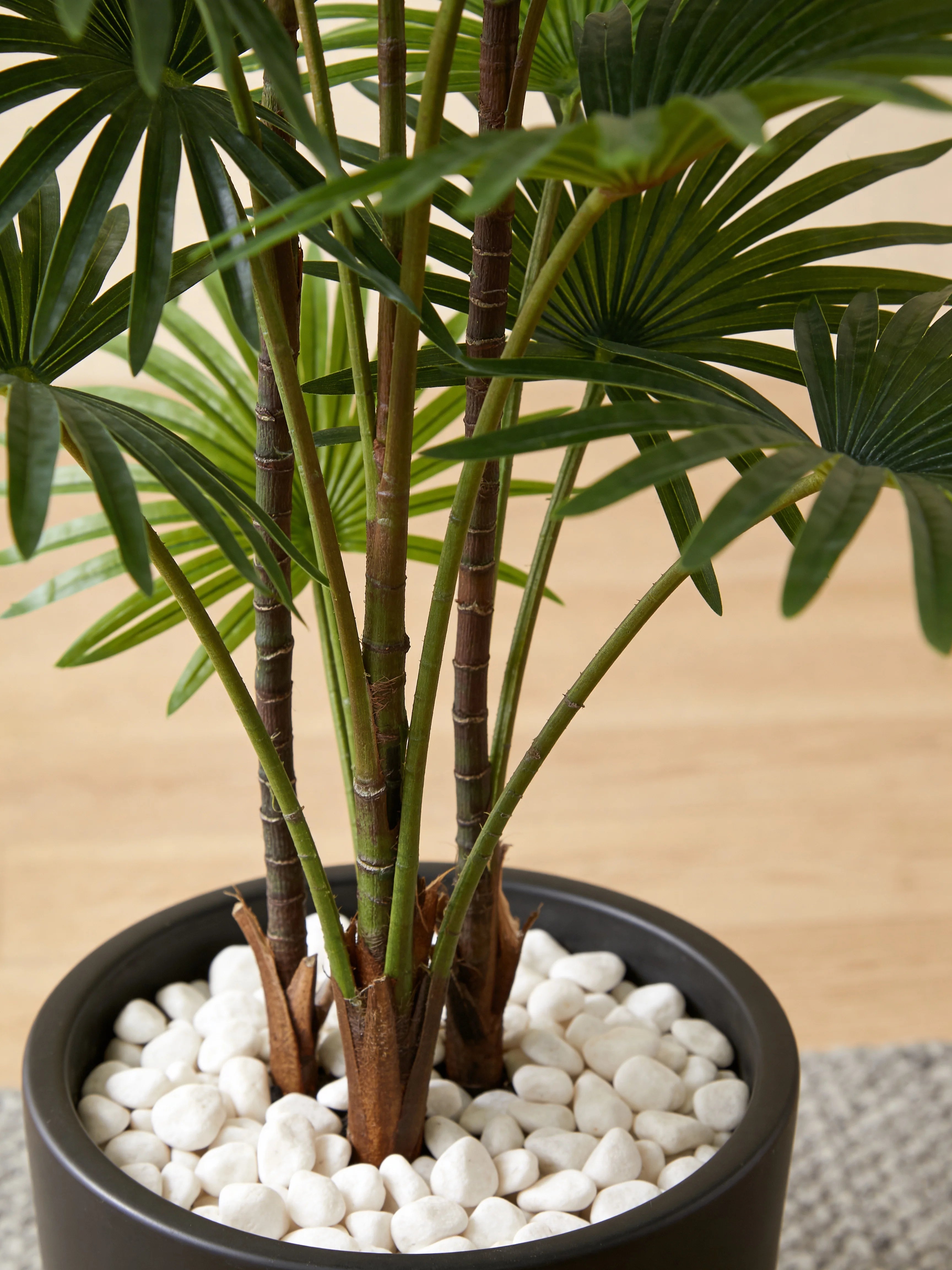 Artificial indoor fan palm plant in a Dubai living room