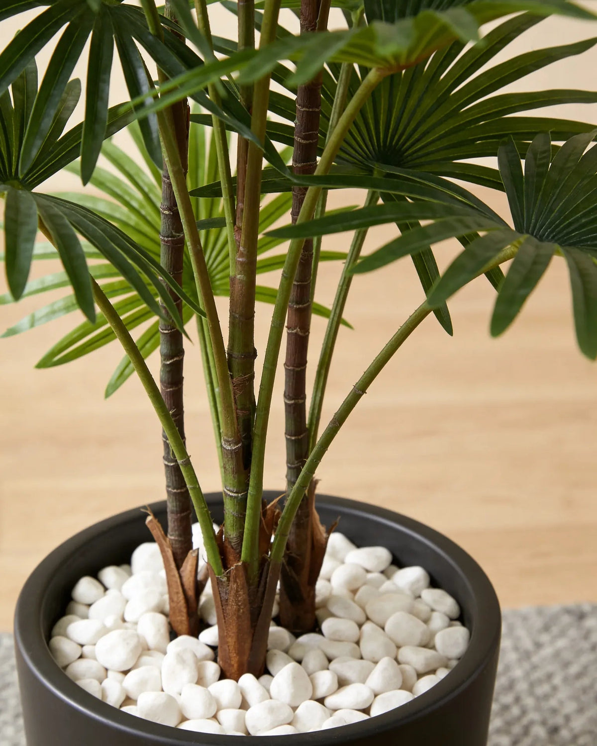 Artificial indoor fan palm plant in a Dubai living room