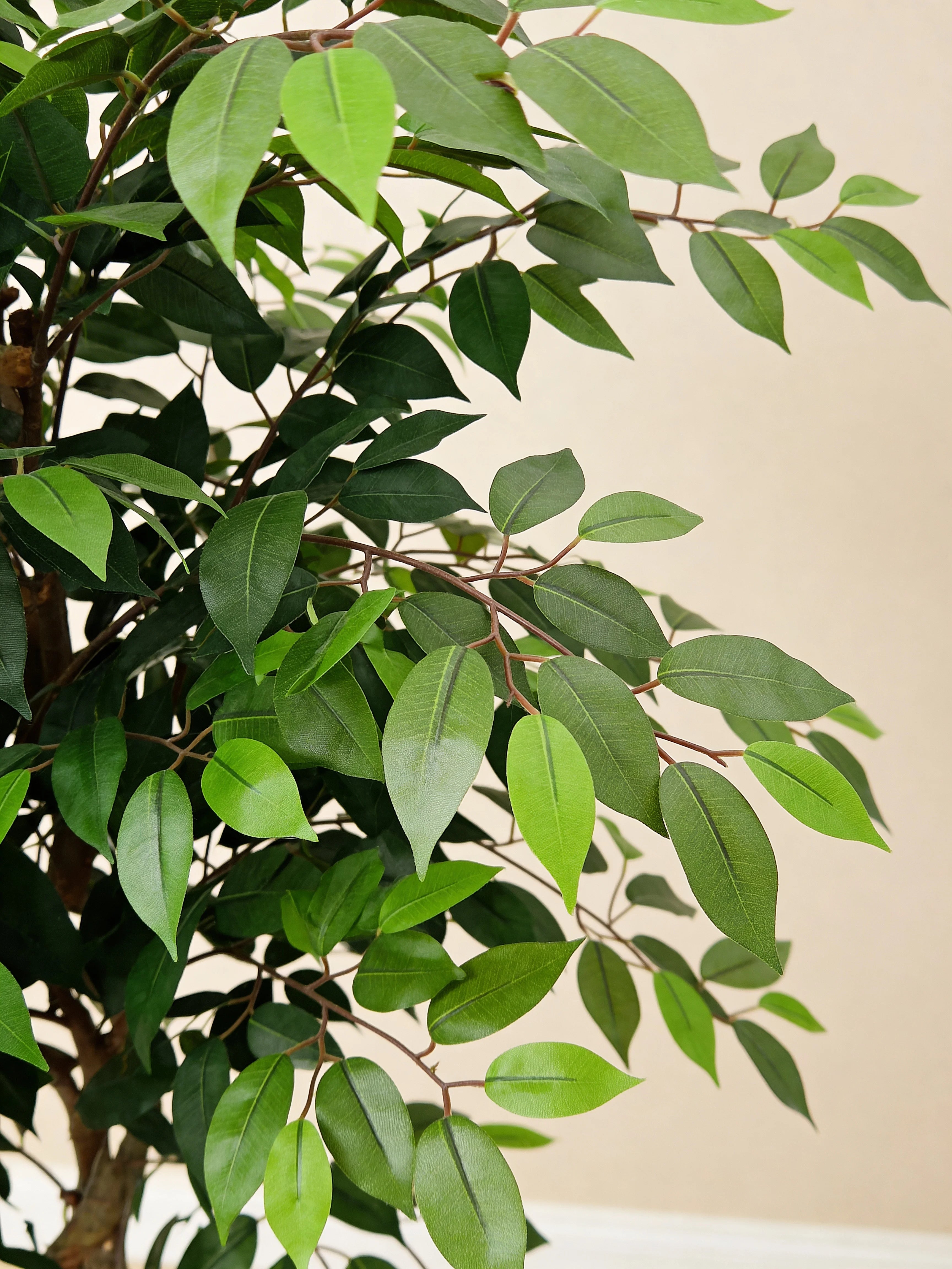 Artificial Ficus Benjamina Tree Single Trunk