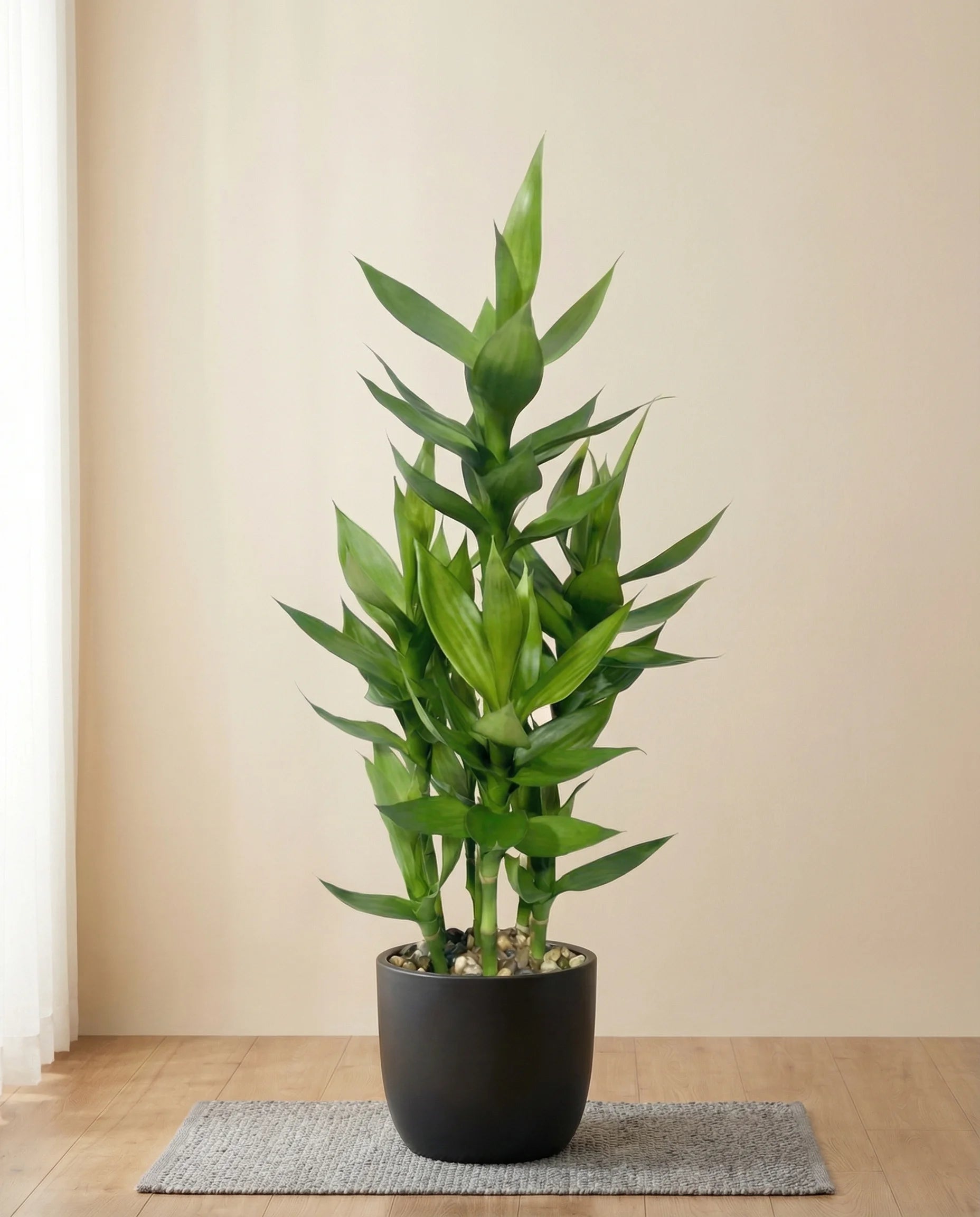 Artificial lucky bamboo plant