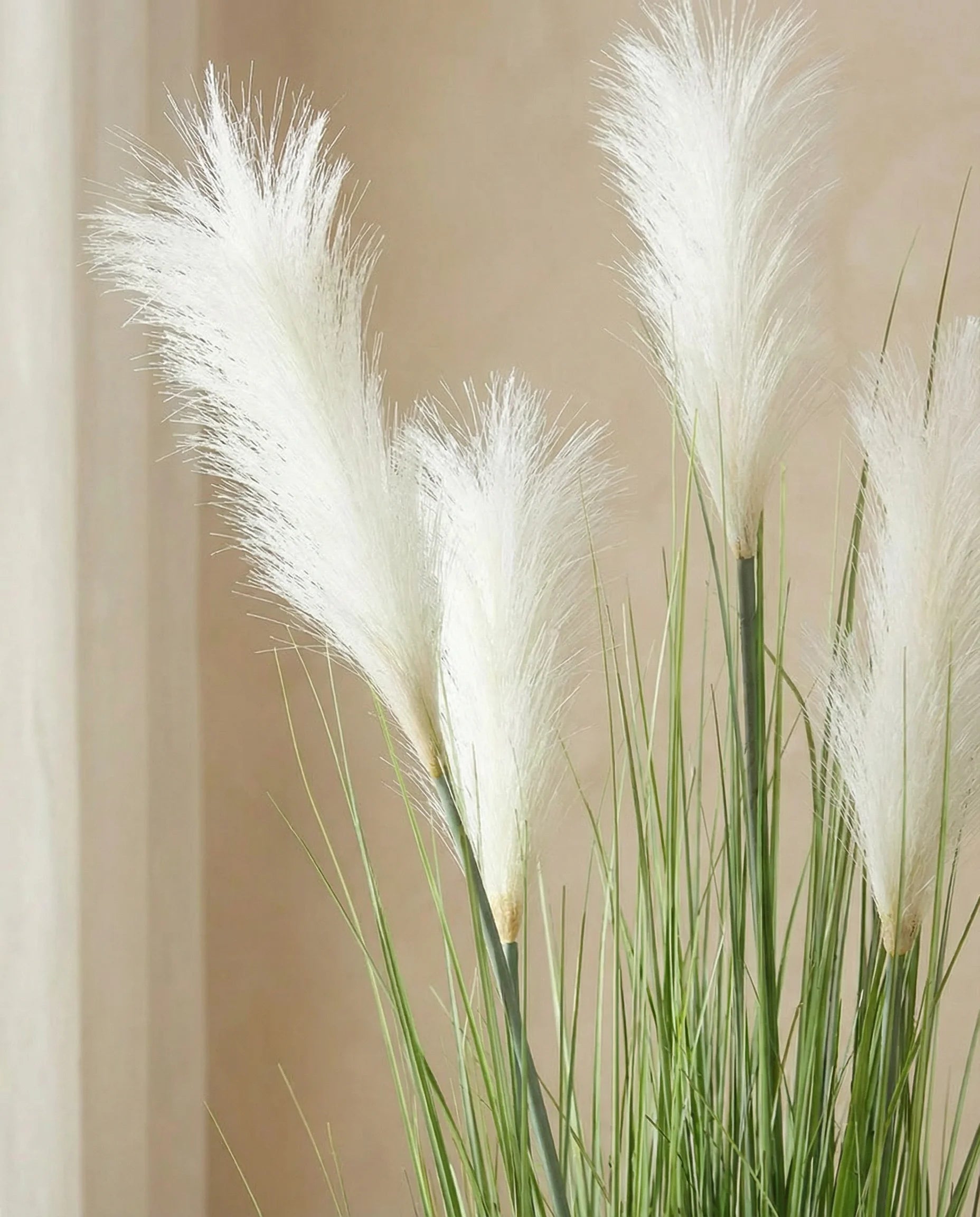 White artificial pampas grass, close-up detail