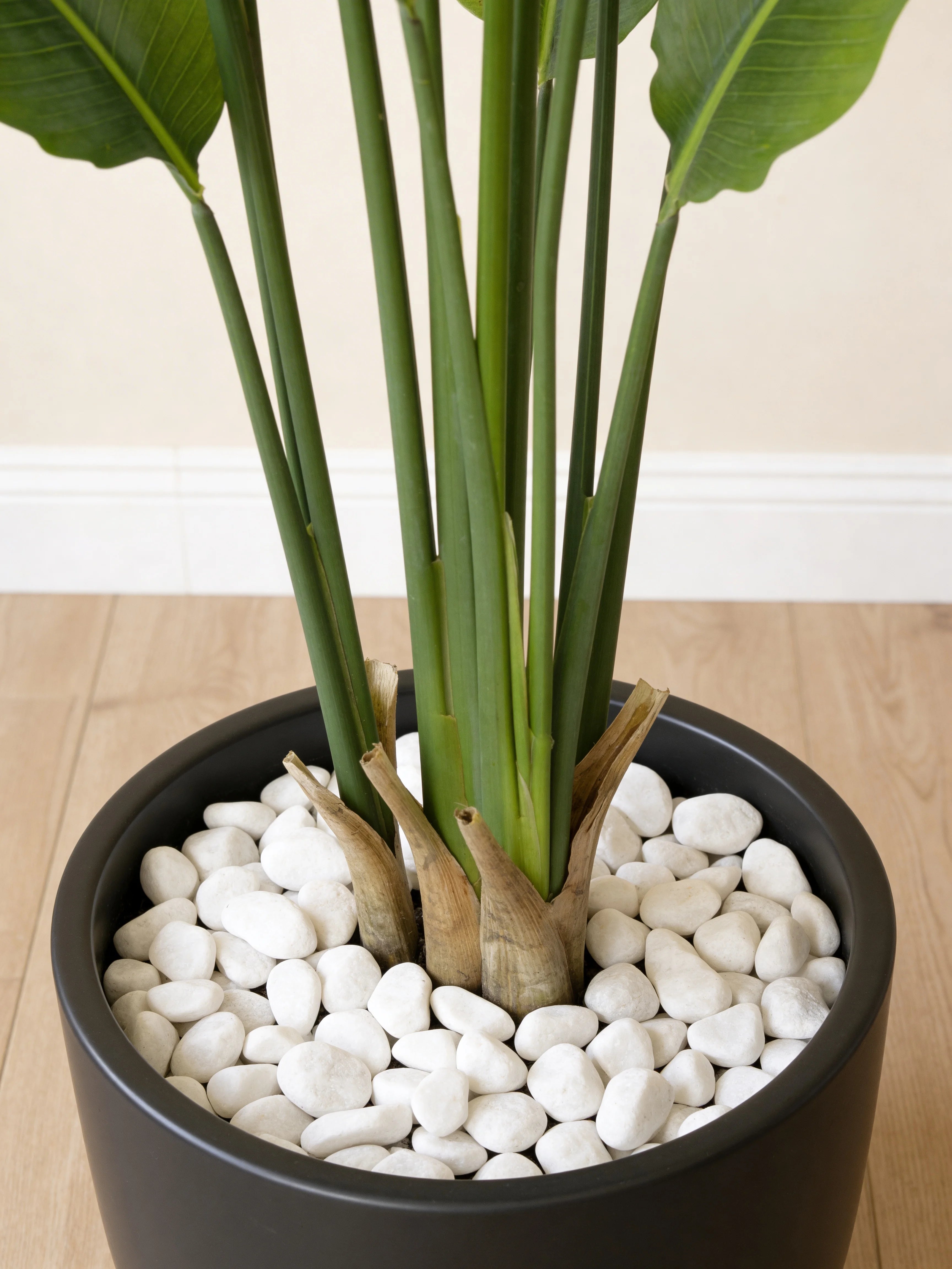 Artificial ravenala travellers palm plant in a Dubai living room