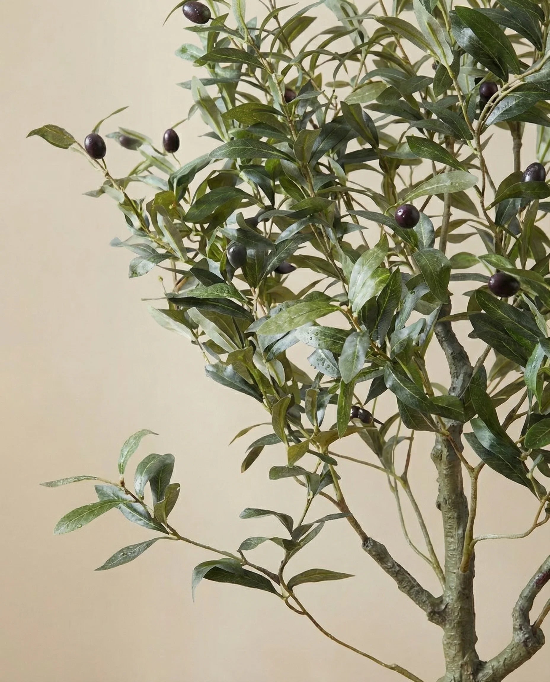 Rustic artificial olive tree with olives, close-up detail